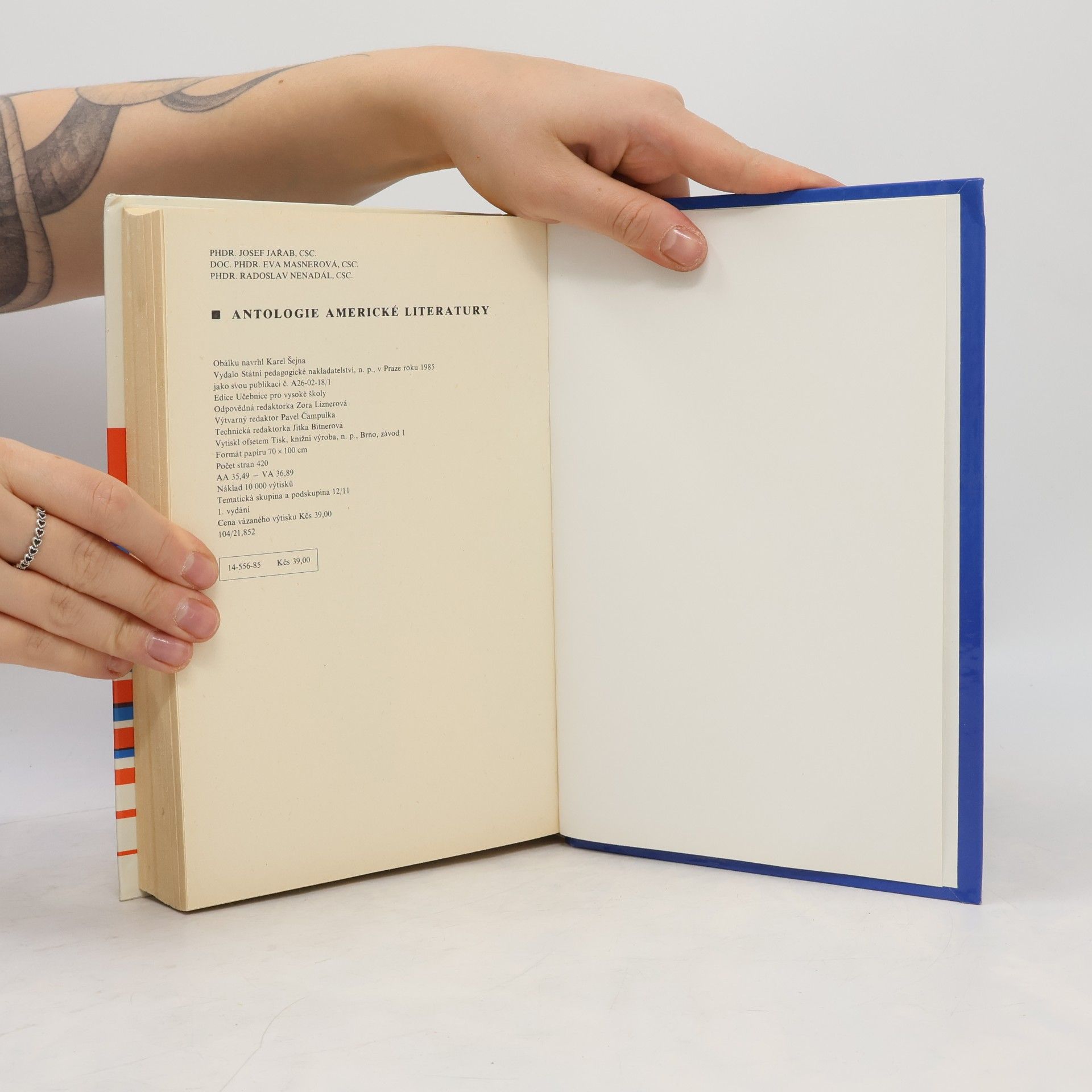 Kolektív autorov Antologie americké literatury