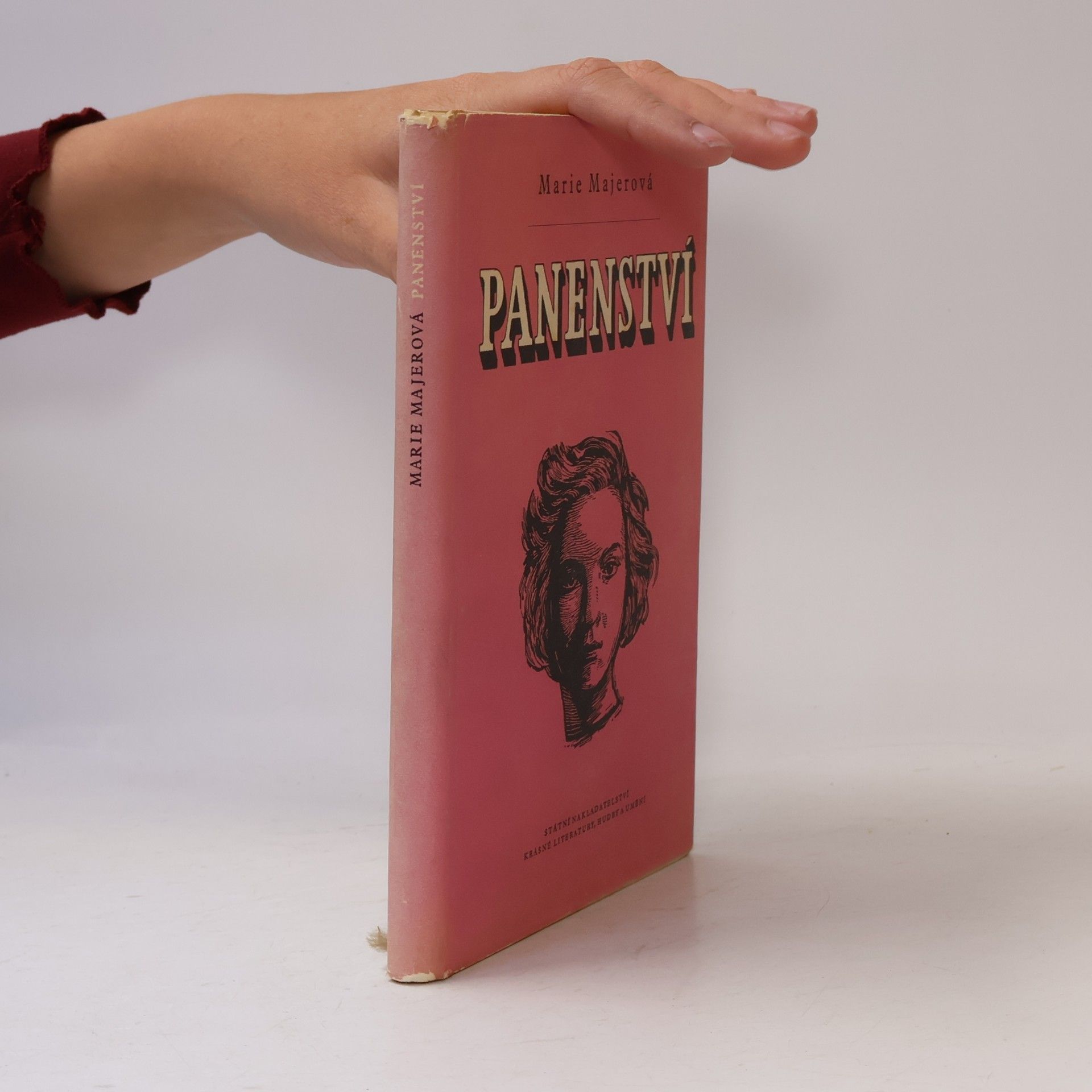 Marie Majerová Panenství. Historie děvčete