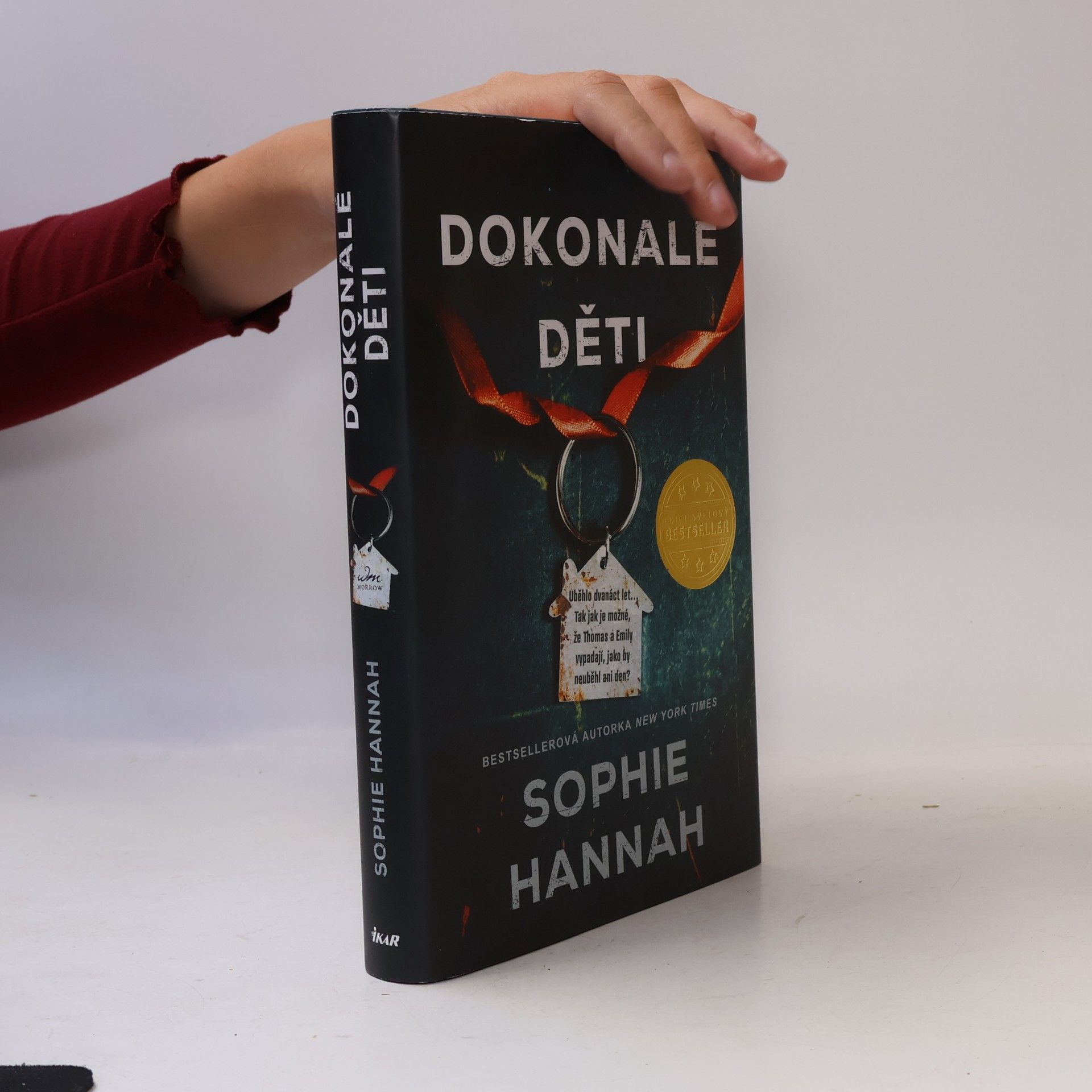 Sophie Hannah Dokonalé děti