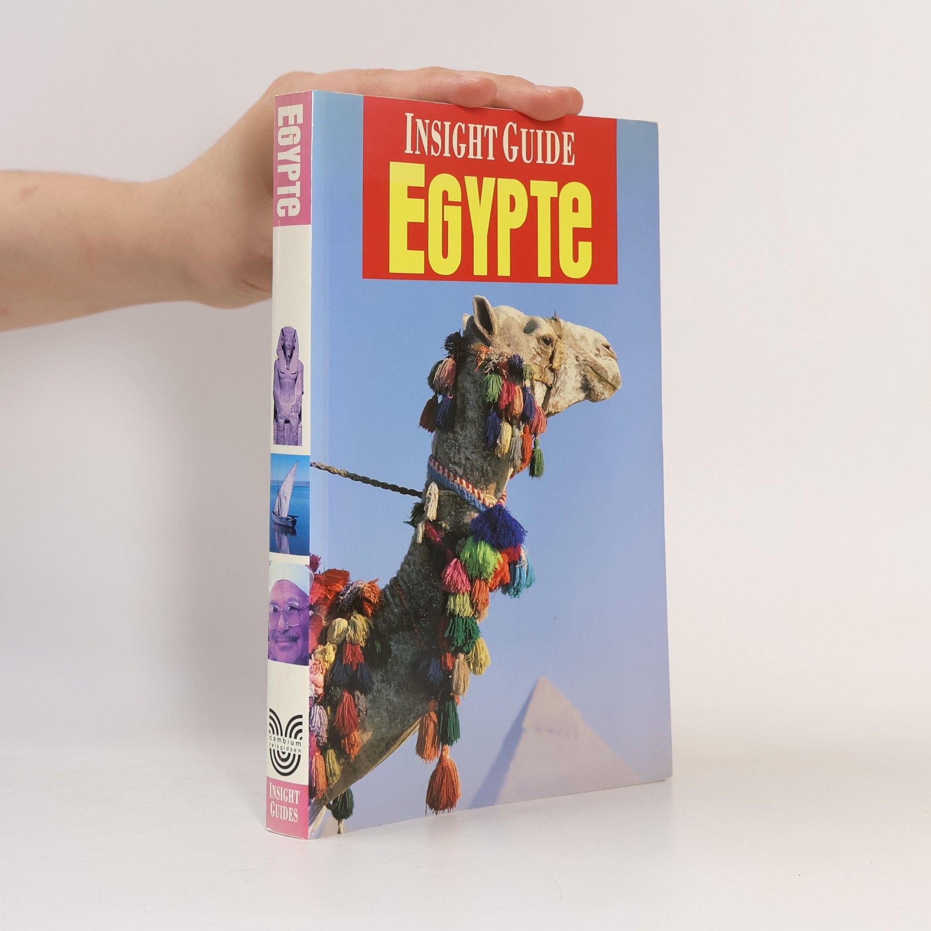 Kolektív autorov Egypte