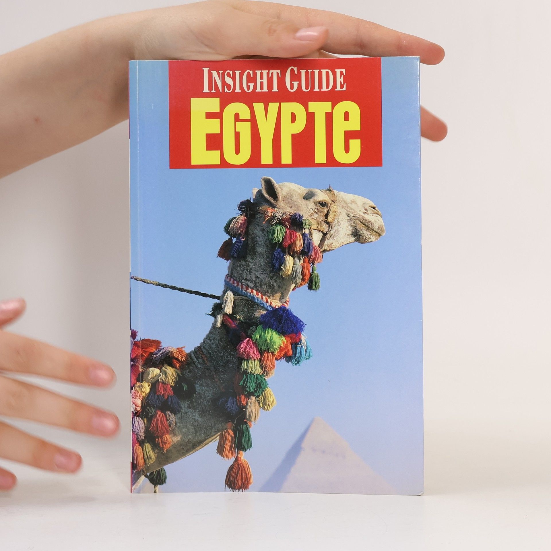 Kolektív autorov Egypte