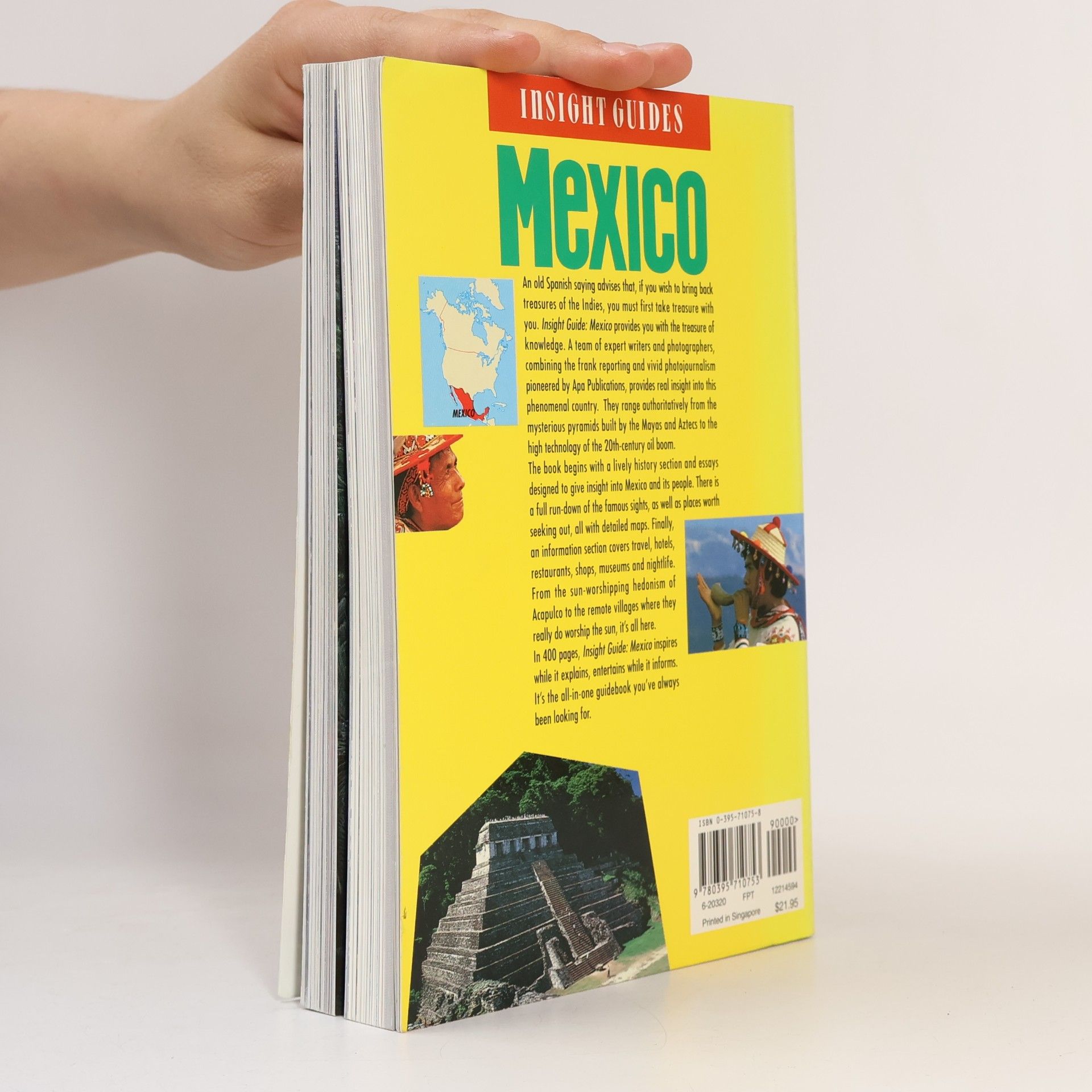 Lewers Steve Insight Guides Mexico