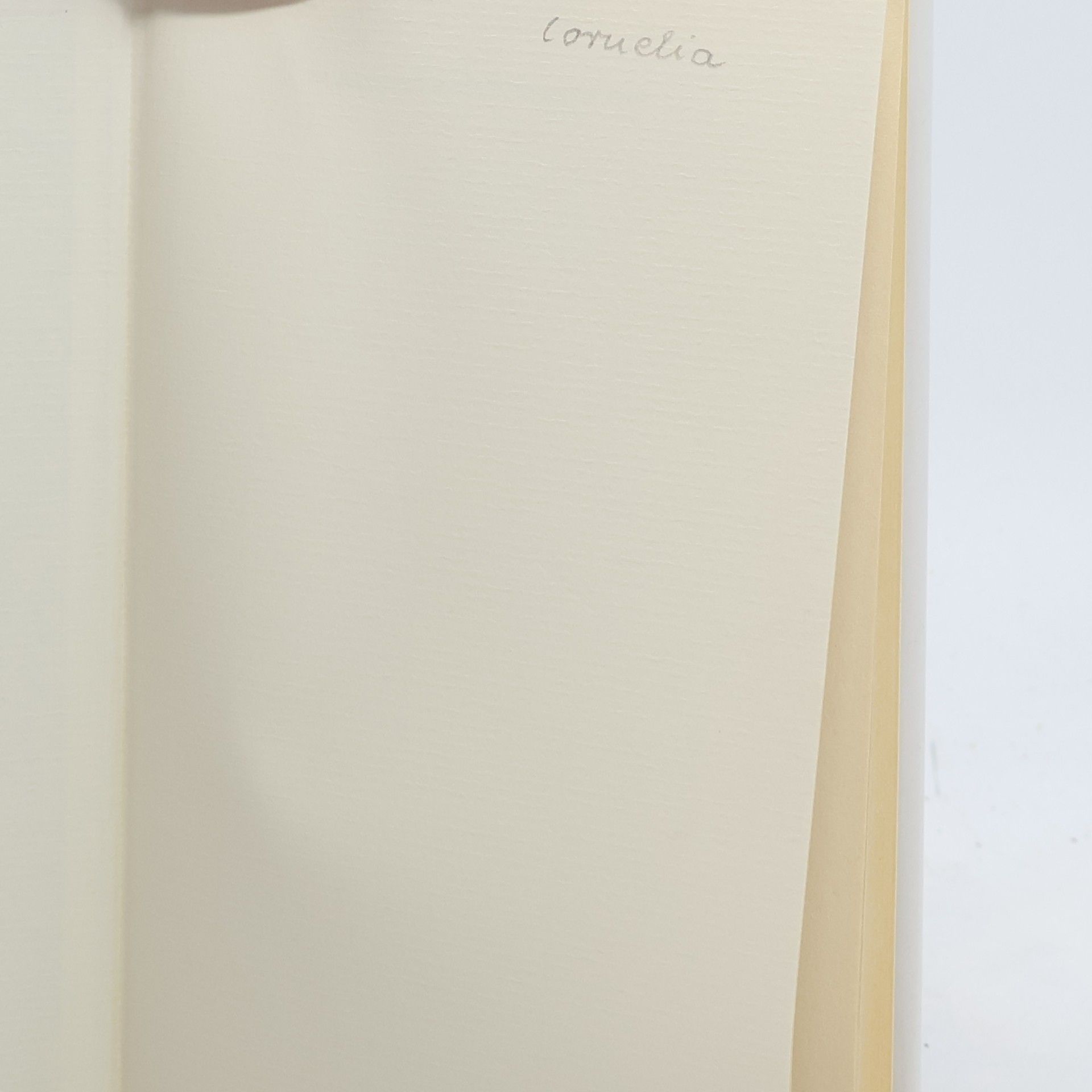 Erma Bombeck Es darf auch mal Champagner sein
