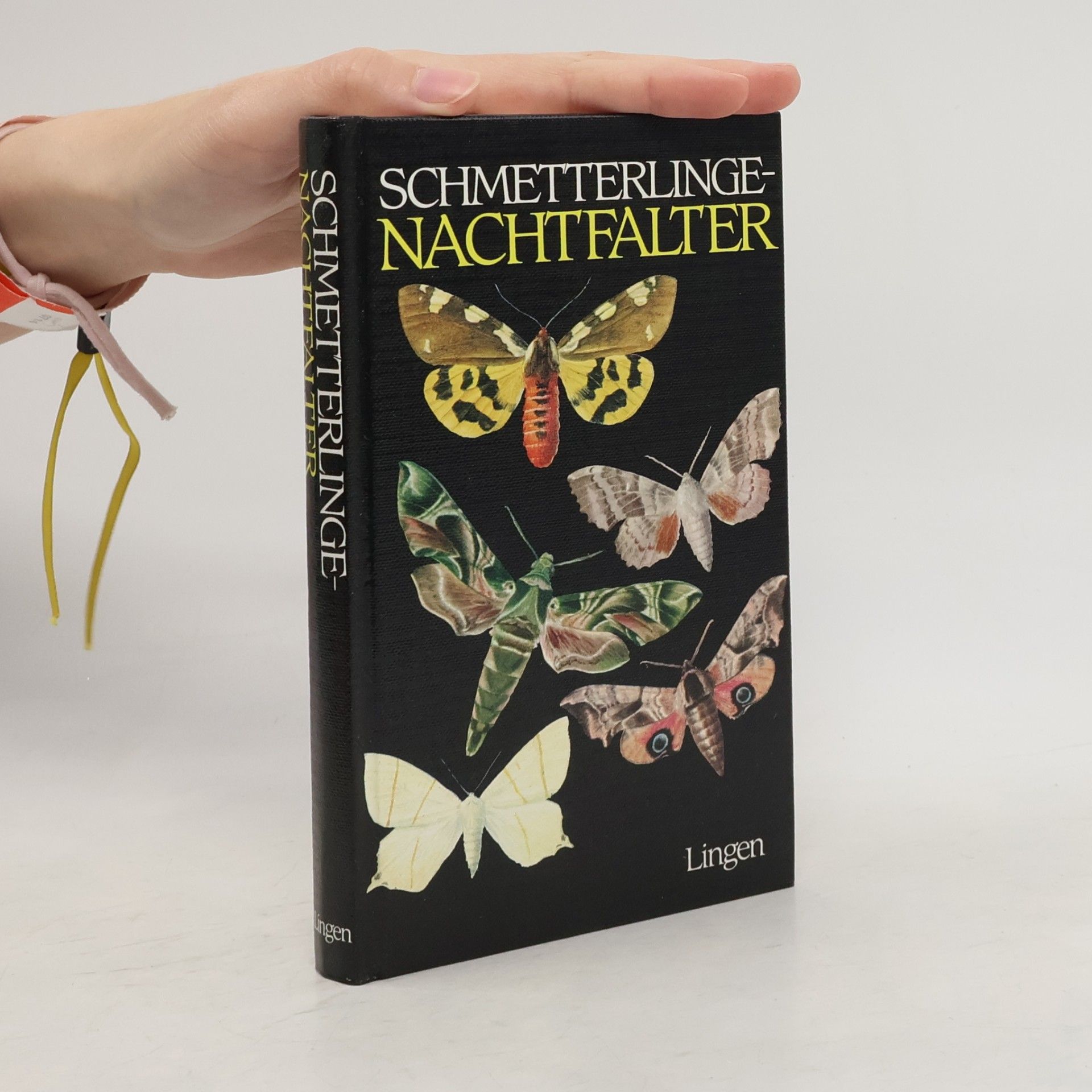 Autorenkollektiv Schmetterlinge-Nachtfalter