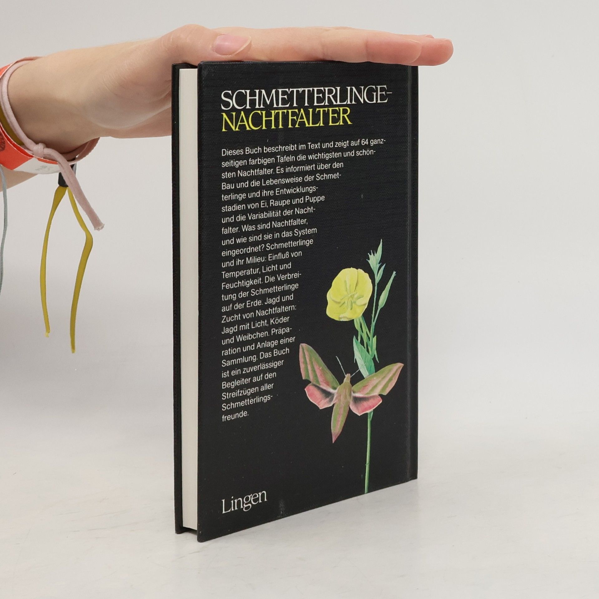 Kolektiv autorů Schmetterlinge-Nachtfalter