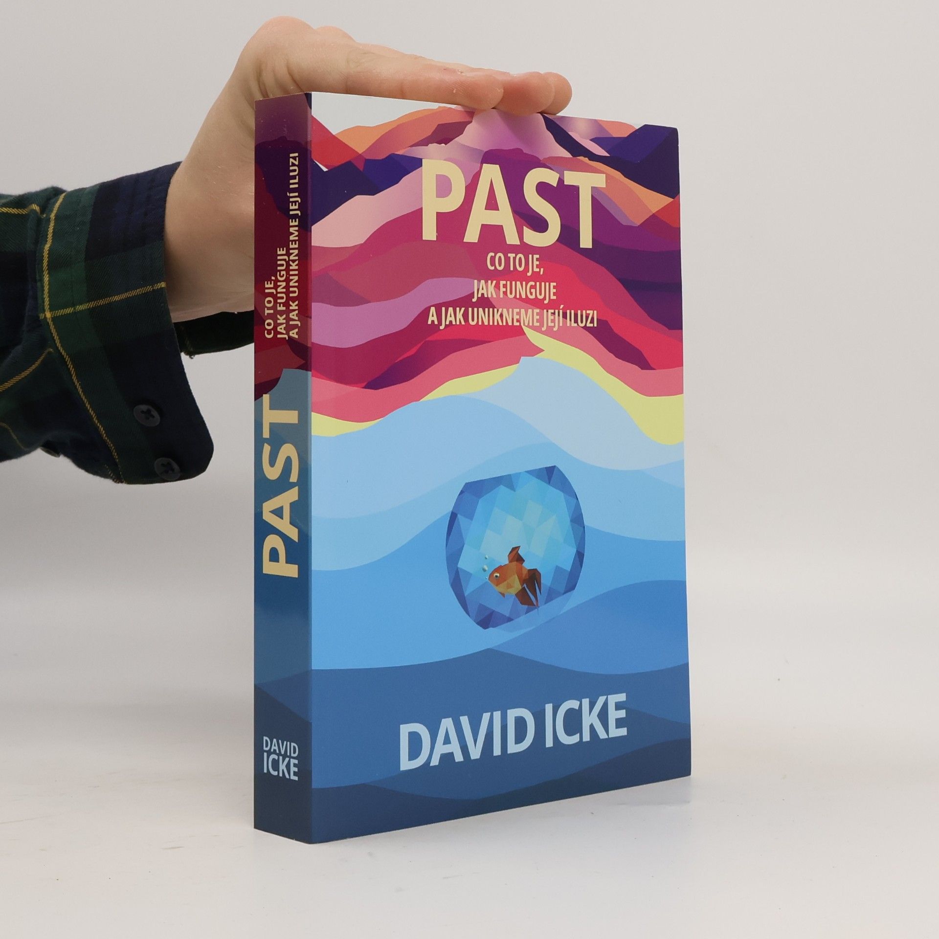 David Icke Past