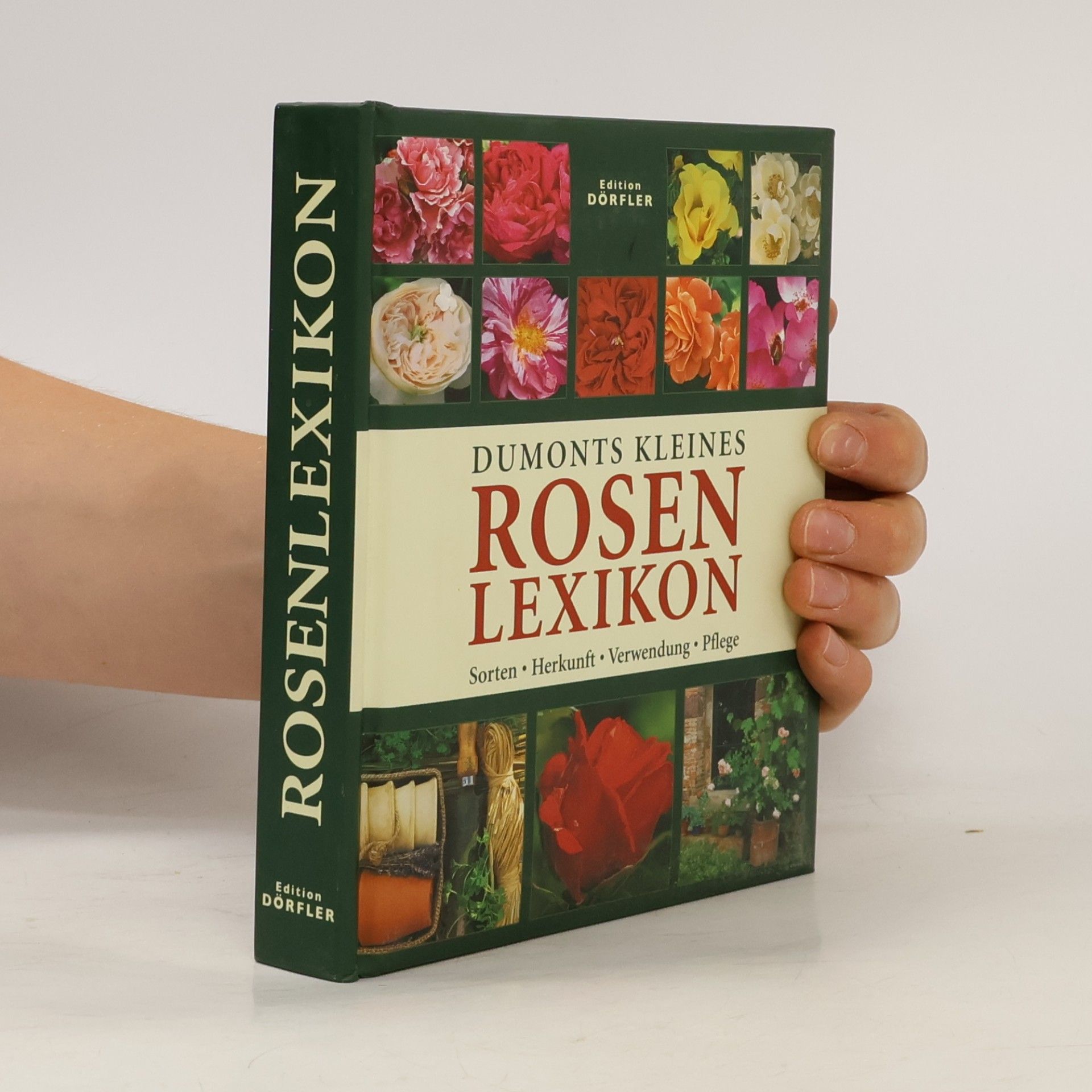 Andrea Rausch Dumonts kleines Rosenlexikon