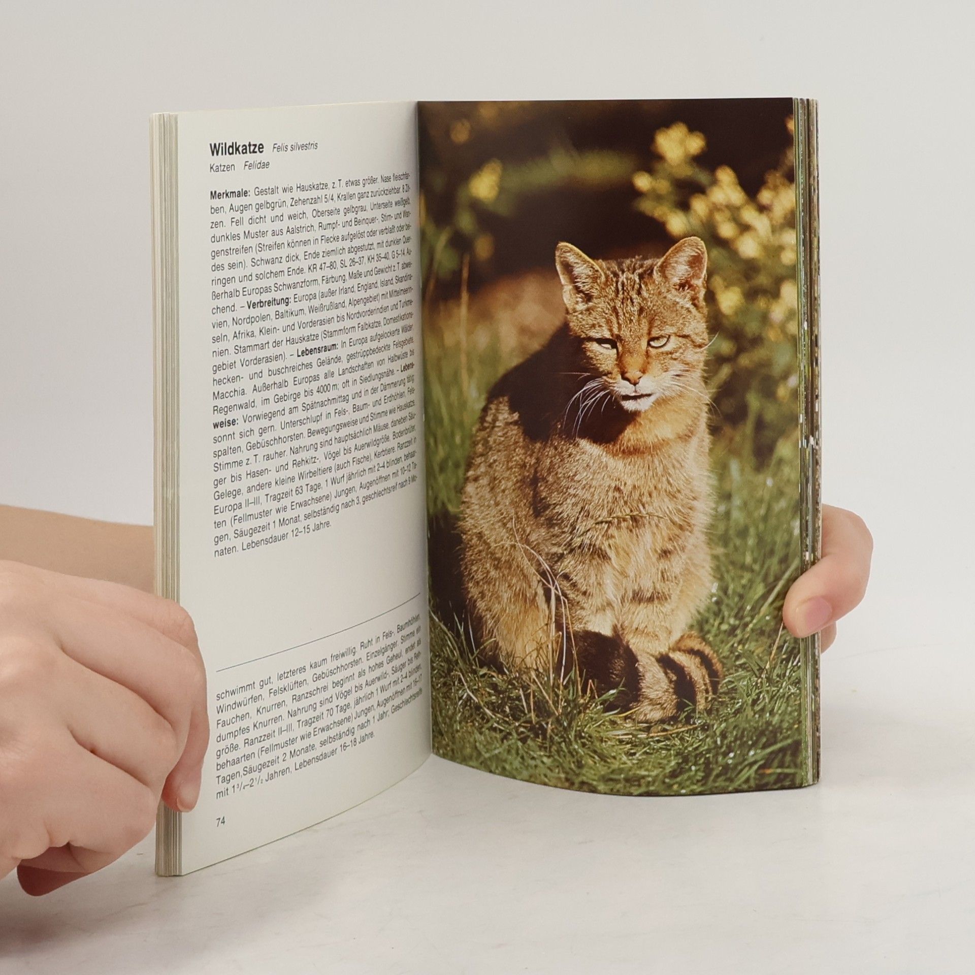 Theodor Haltenorth Säugetiere sowie Lurche und Kriechtiere