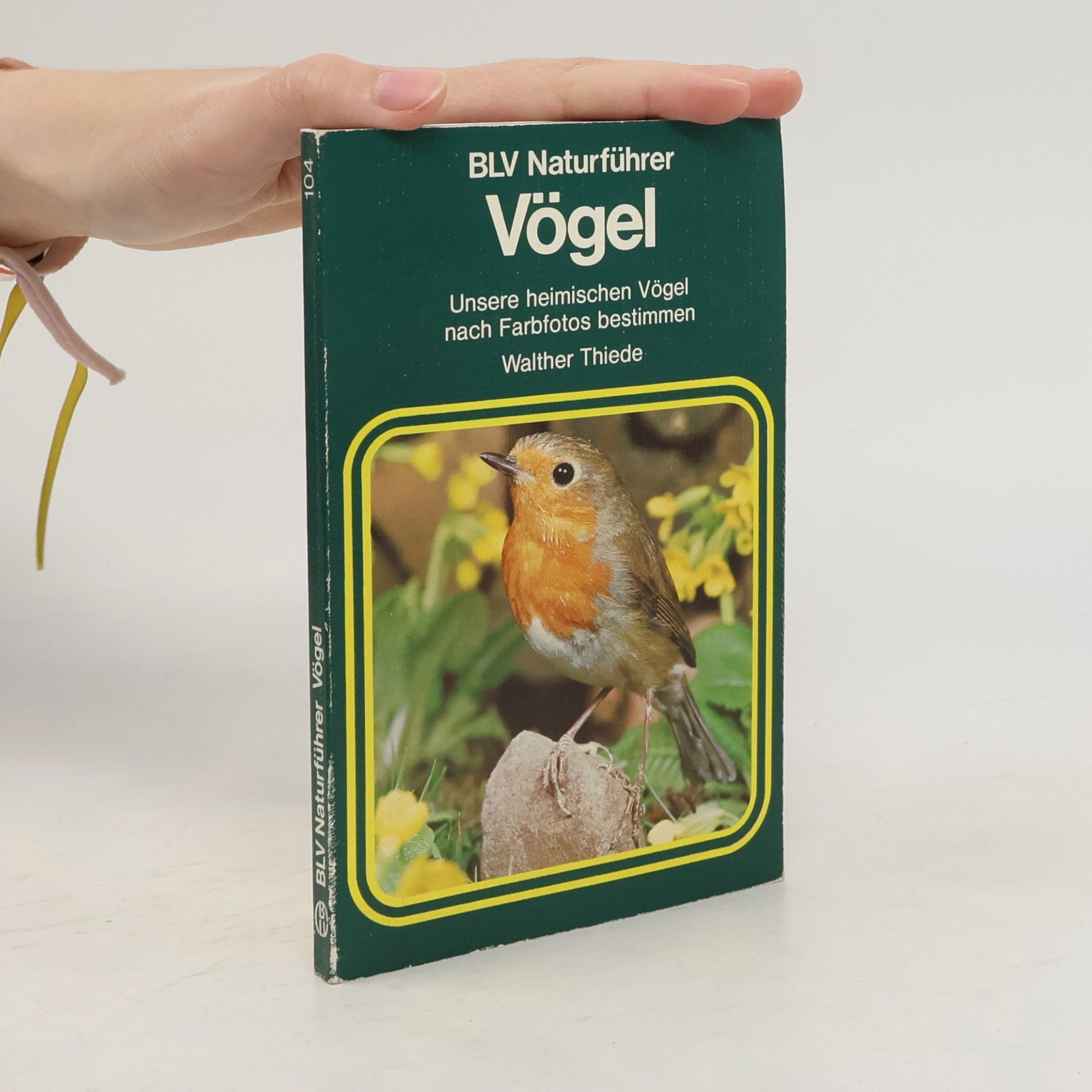 Walther Thiede Vögel