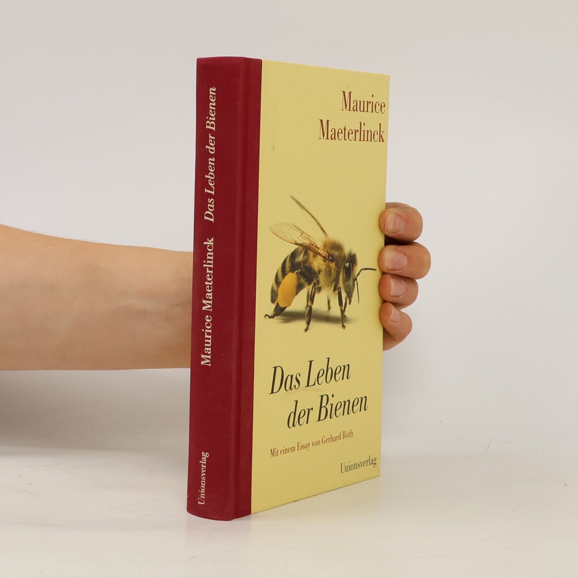 Gerhard Roth Das Leben der Bienen