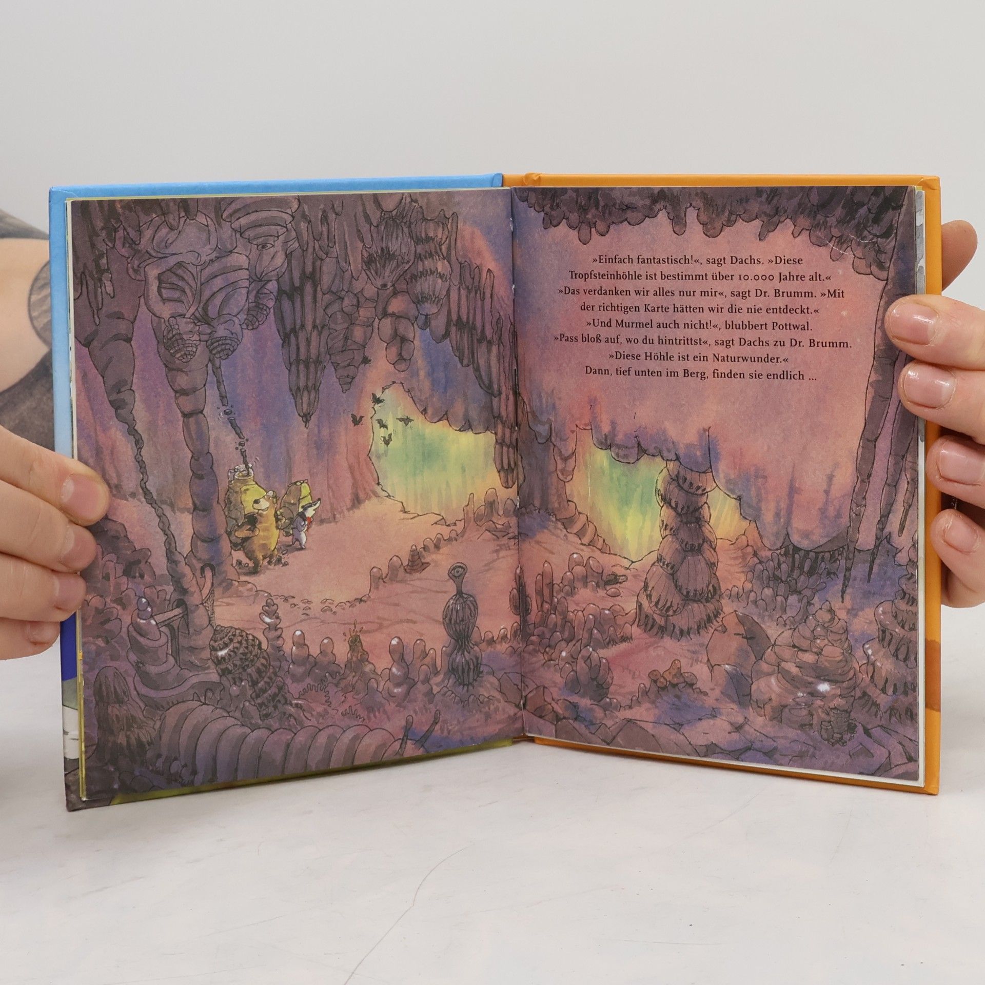 Daniel Napp Dr. Brumm geht wandern