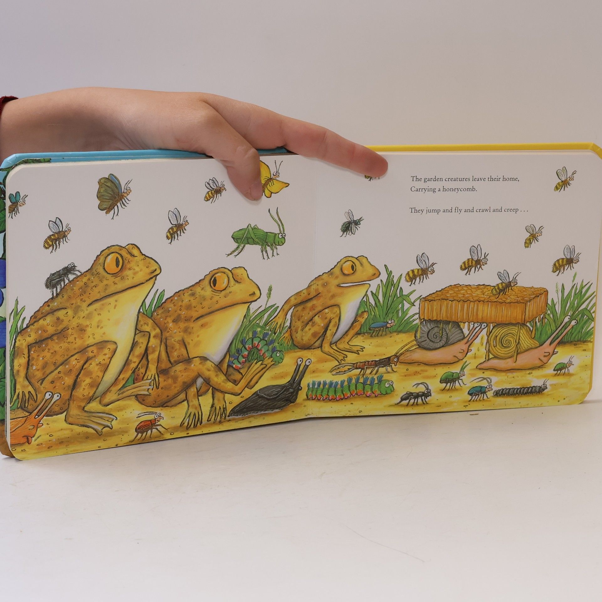 Julia Donaldson Superworm