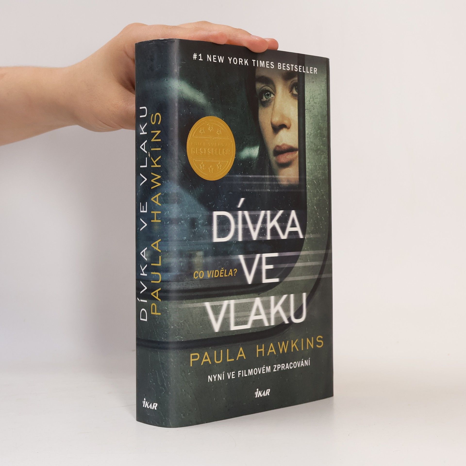 Dívka ve vlaku