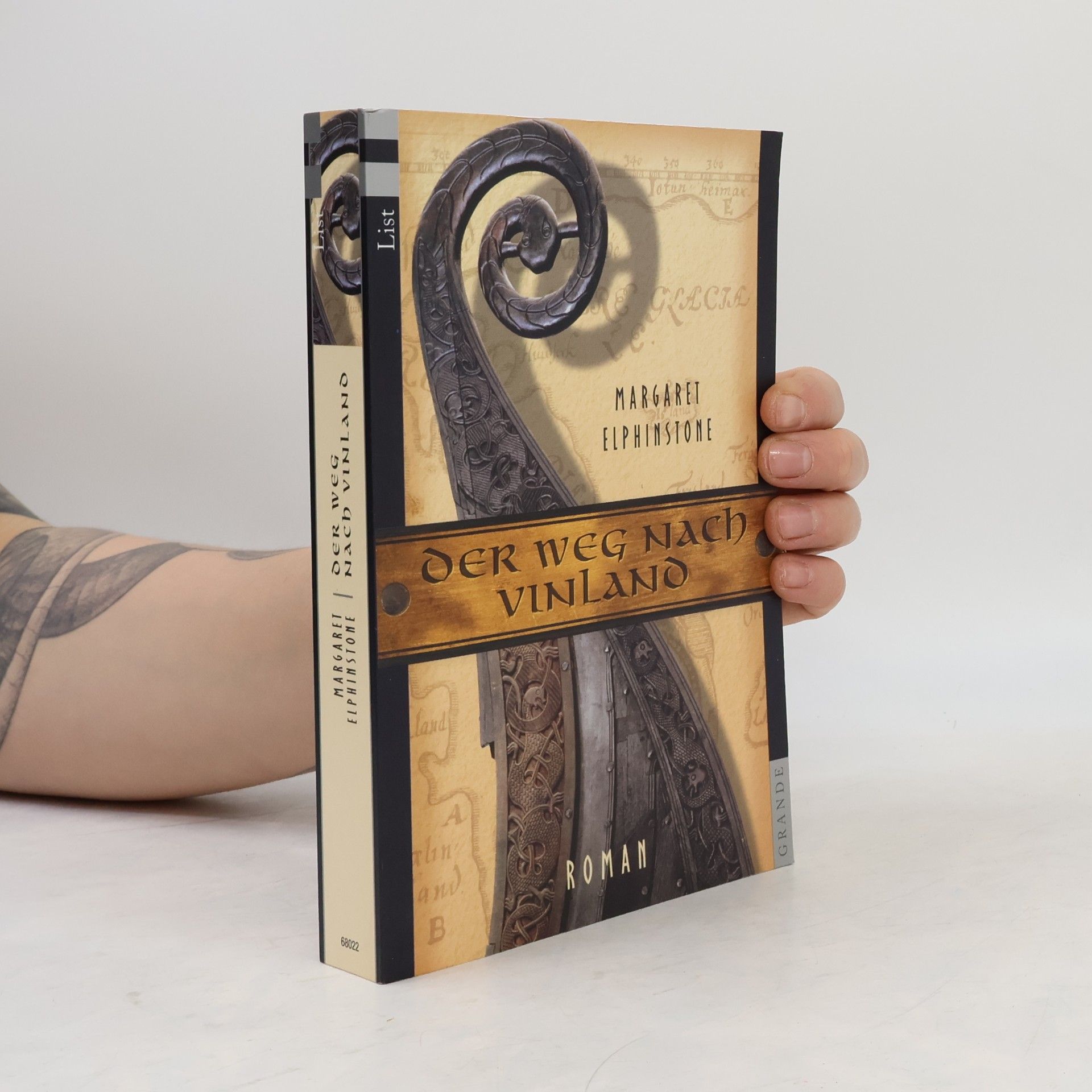 Margaret Elphinstone Der Weg nach Vinland