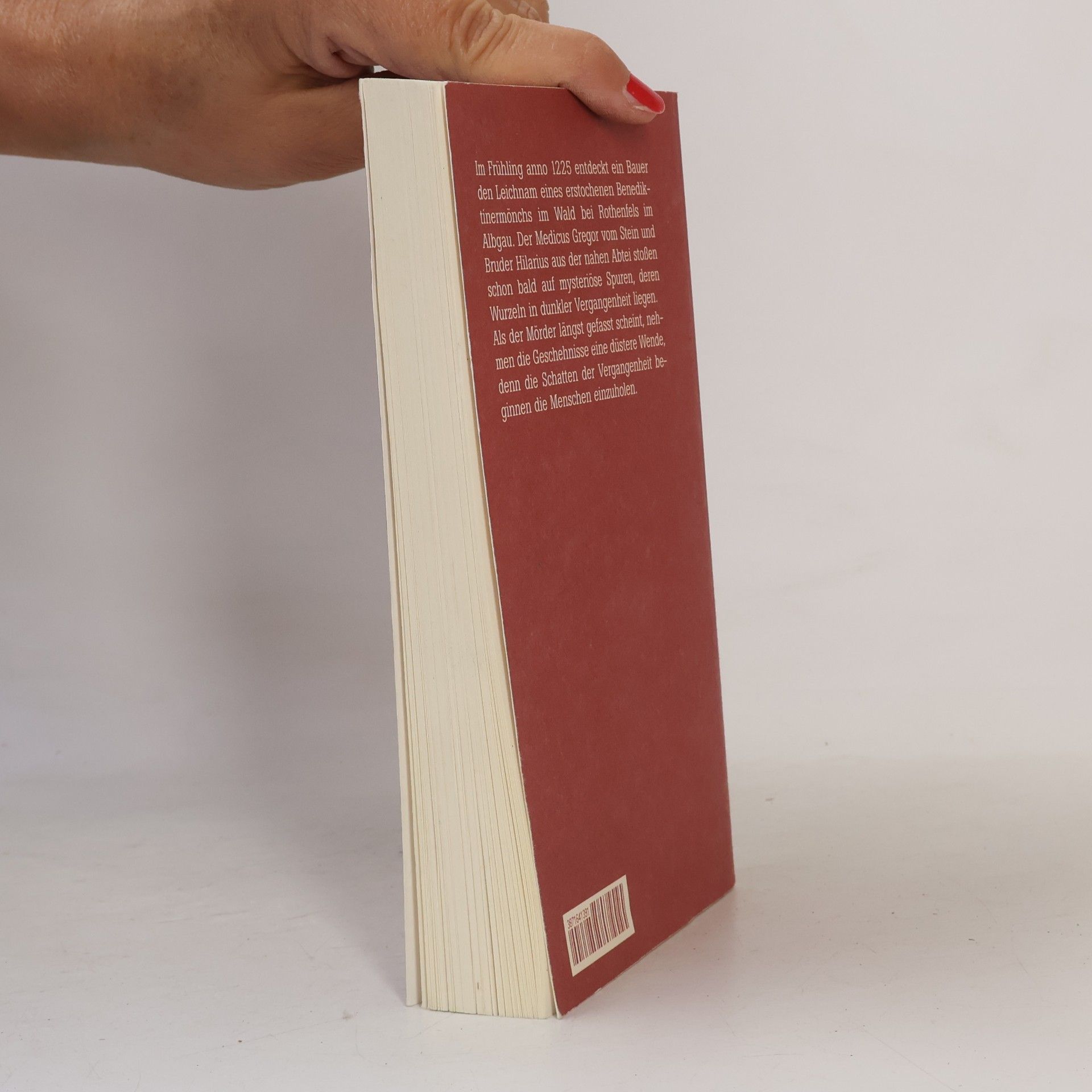 Horst Gerhold Rothenfels. Schatten der Vergangenheit