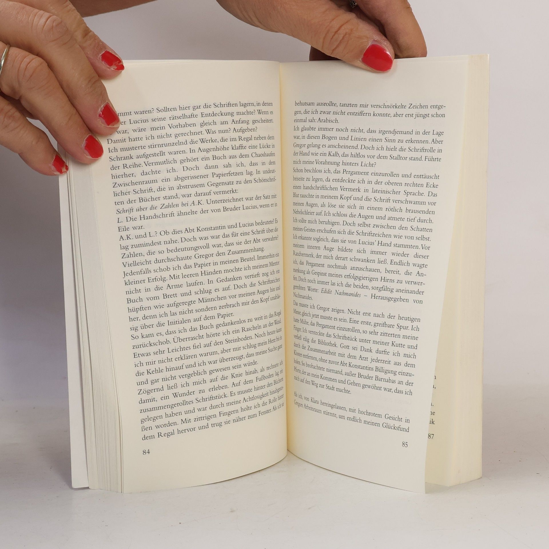 Horst Gerhold Rothenfels. Schatten der Vergangenheit