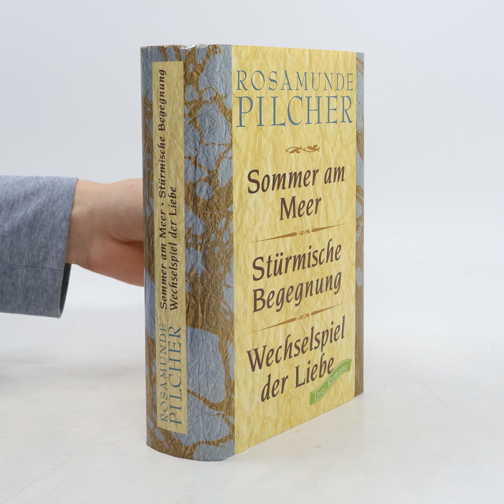 Sommer am Meer. Stürmische Begegnung. Wechselspiel der Liebe