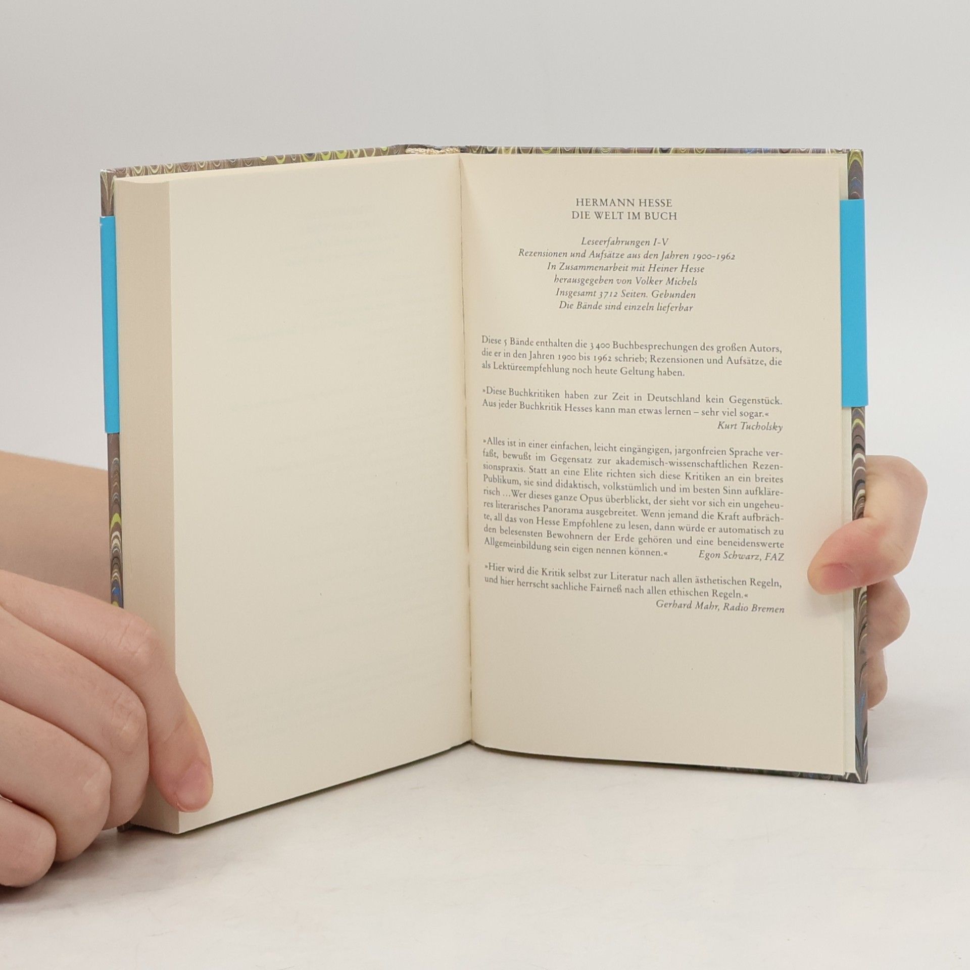 Hermann Hesse Lektüre für minuten
