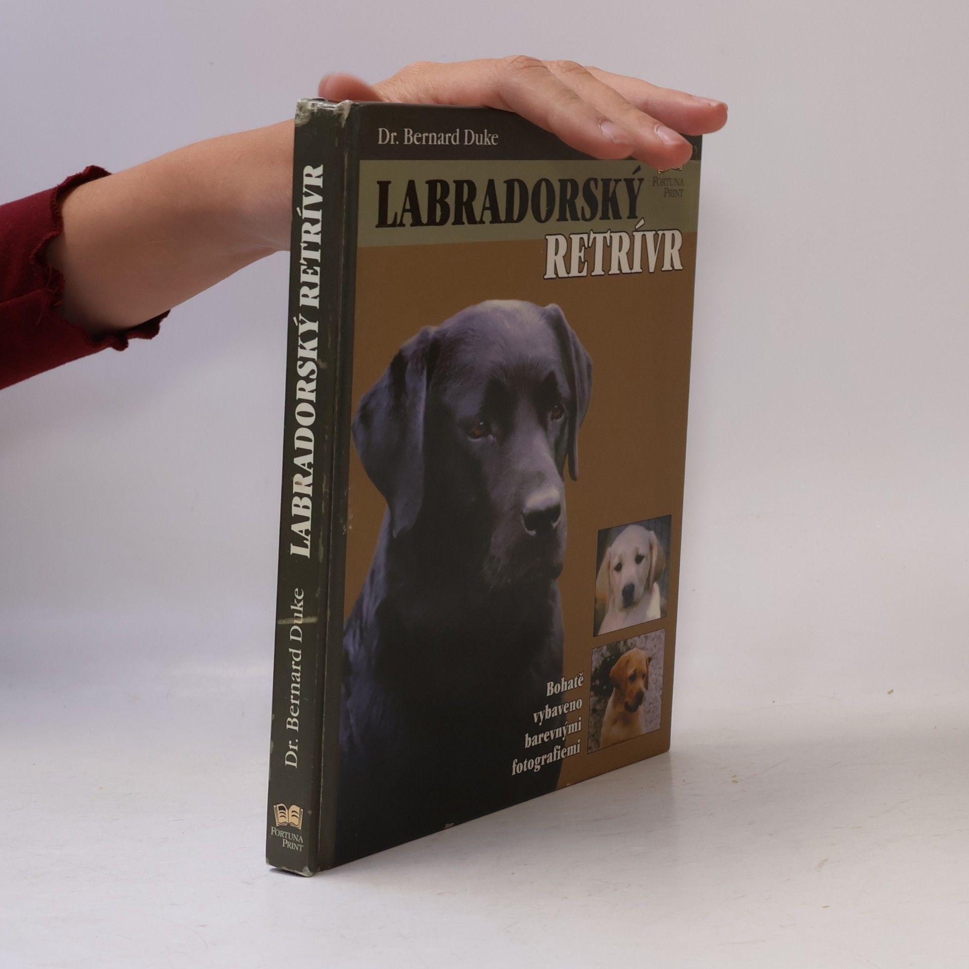 Labradorský retrívr