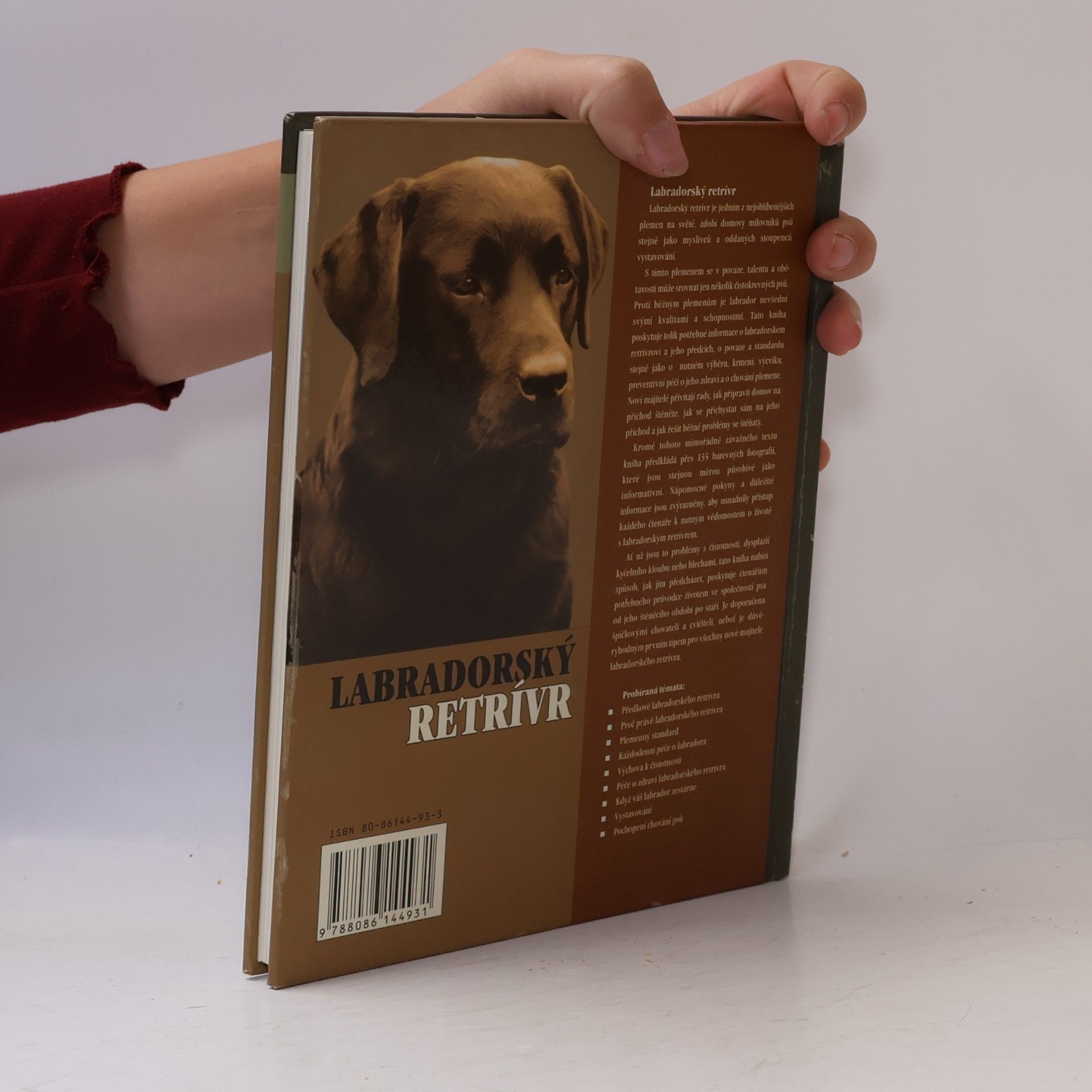 Bernard Duke Labradorský retrívr