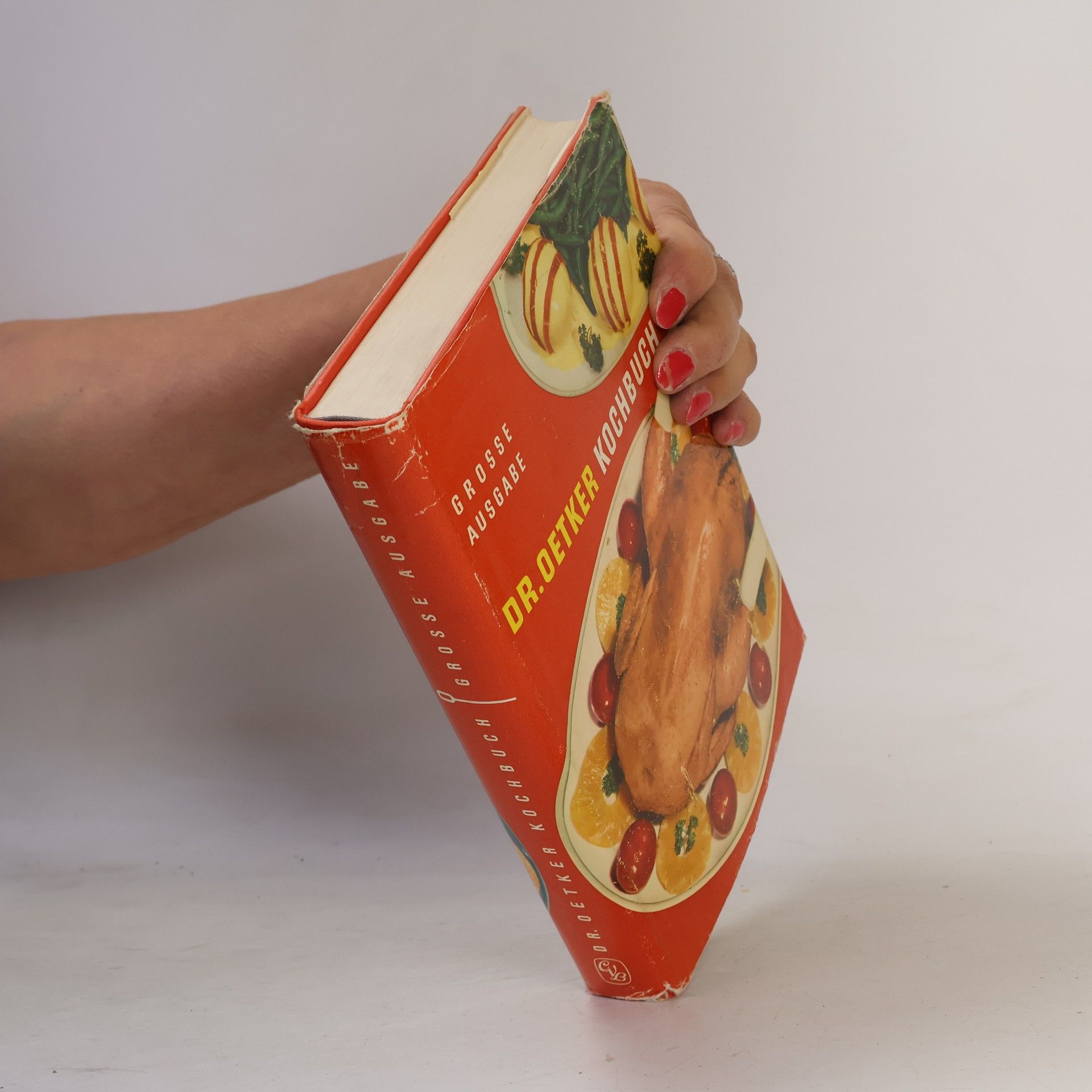 Autorenkollektiv Das grosse Dr. Oetker Kochbuch