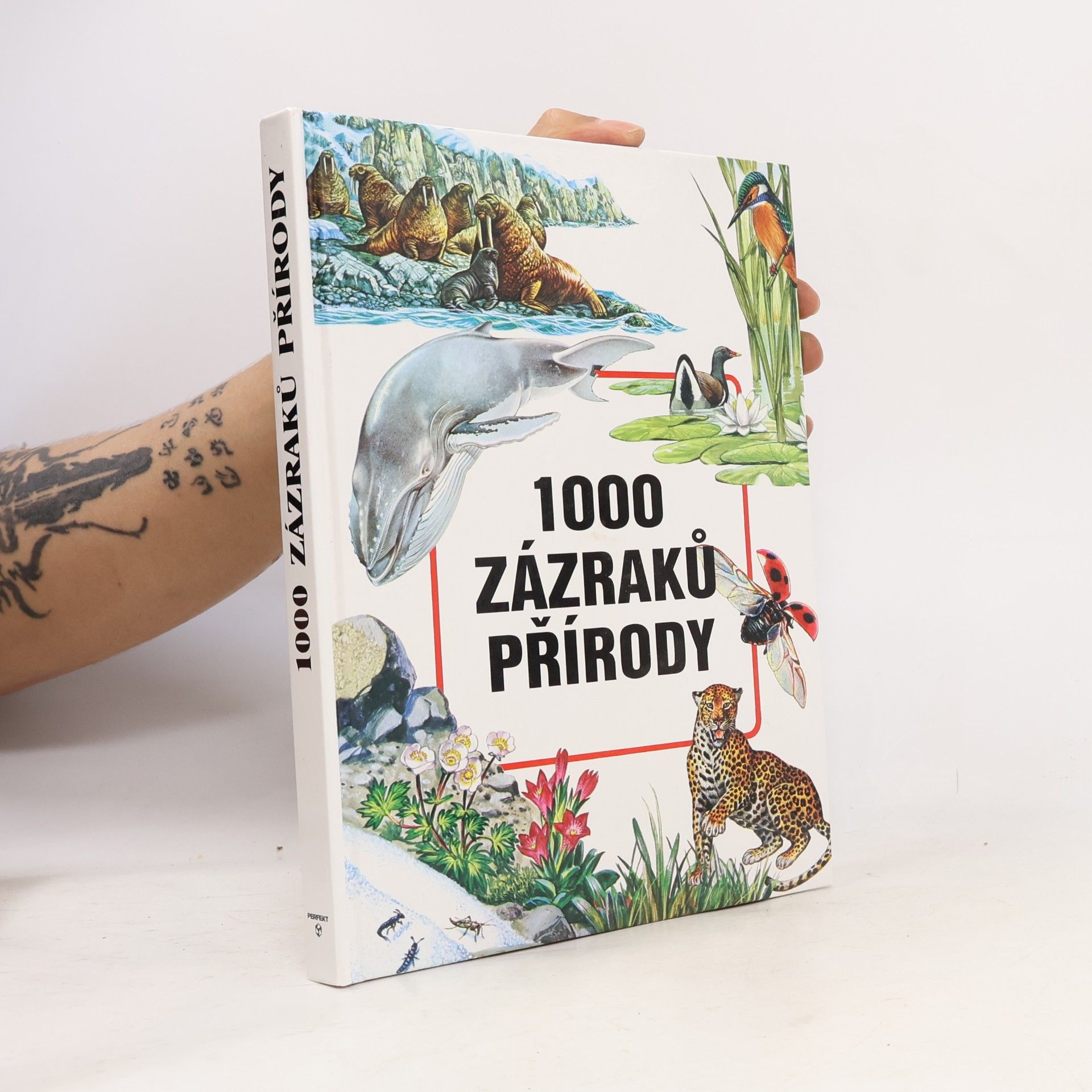 Evžen Kůs 1000 zázraků přírody