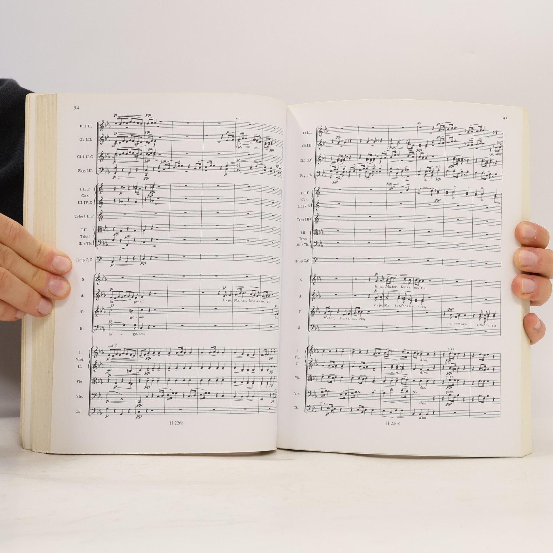 Antonín Dvořák STABAT MATER