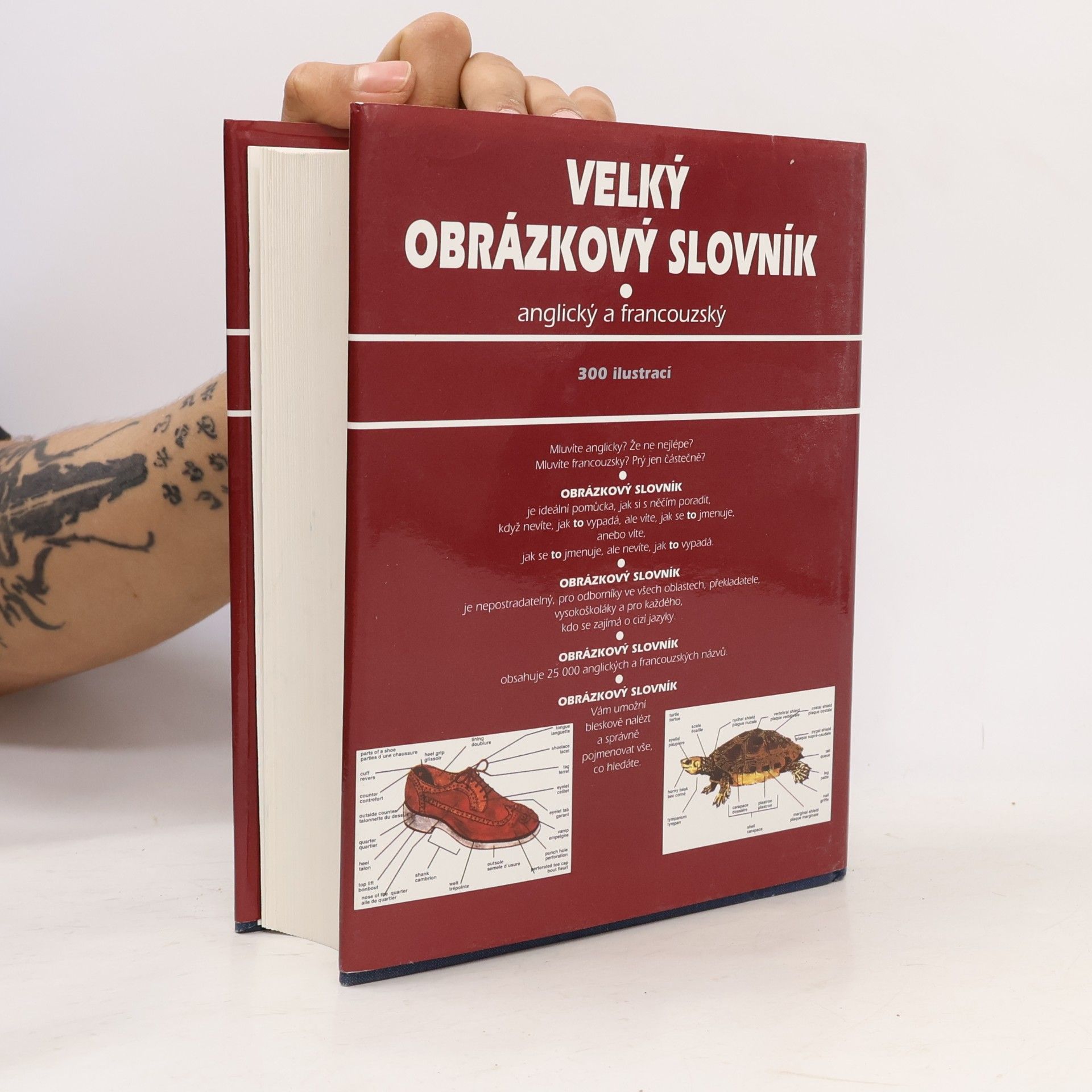 Ariane Archambault Velký obrázkový slovník. Anglický a francouzský
