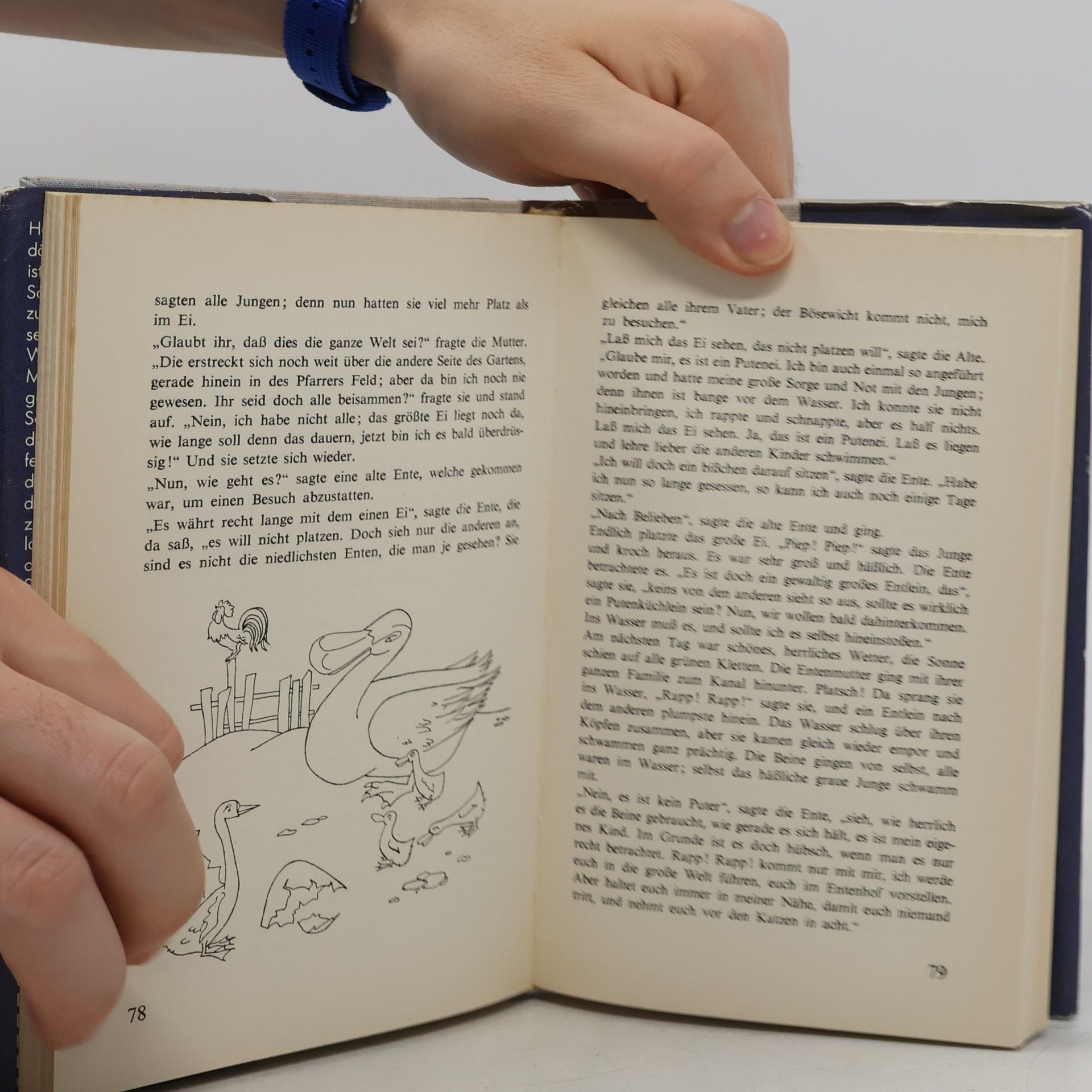 Hans Christian Andersen Däumelinchen. Der fliegende Koffer und andere Märchen