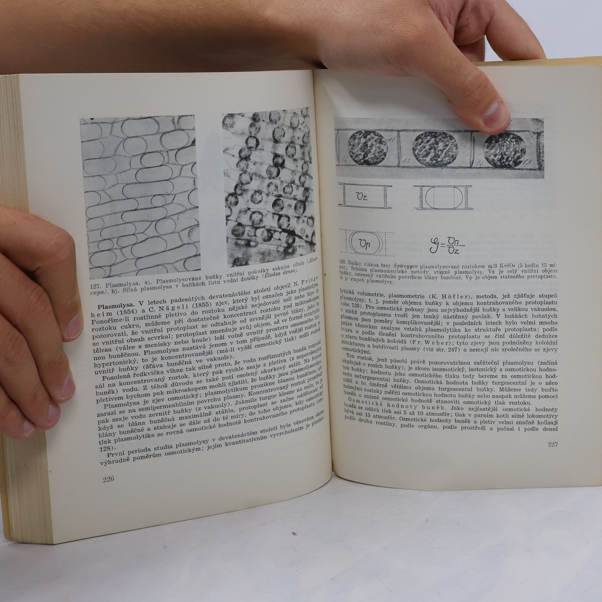 Bohumil Němec Učebnice anatomie a fysiologie rostlin