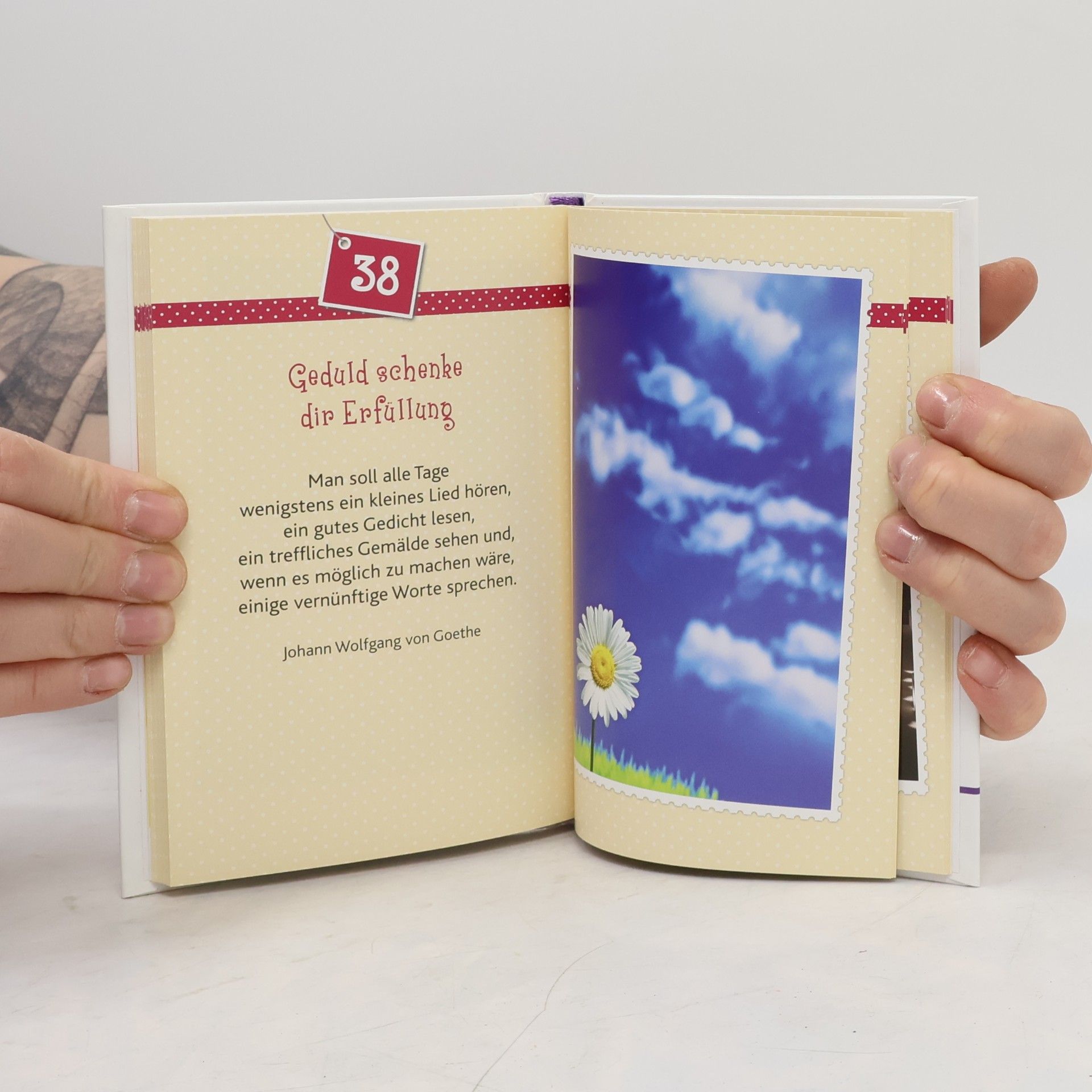50 gute Wünsche zum Geburtstag