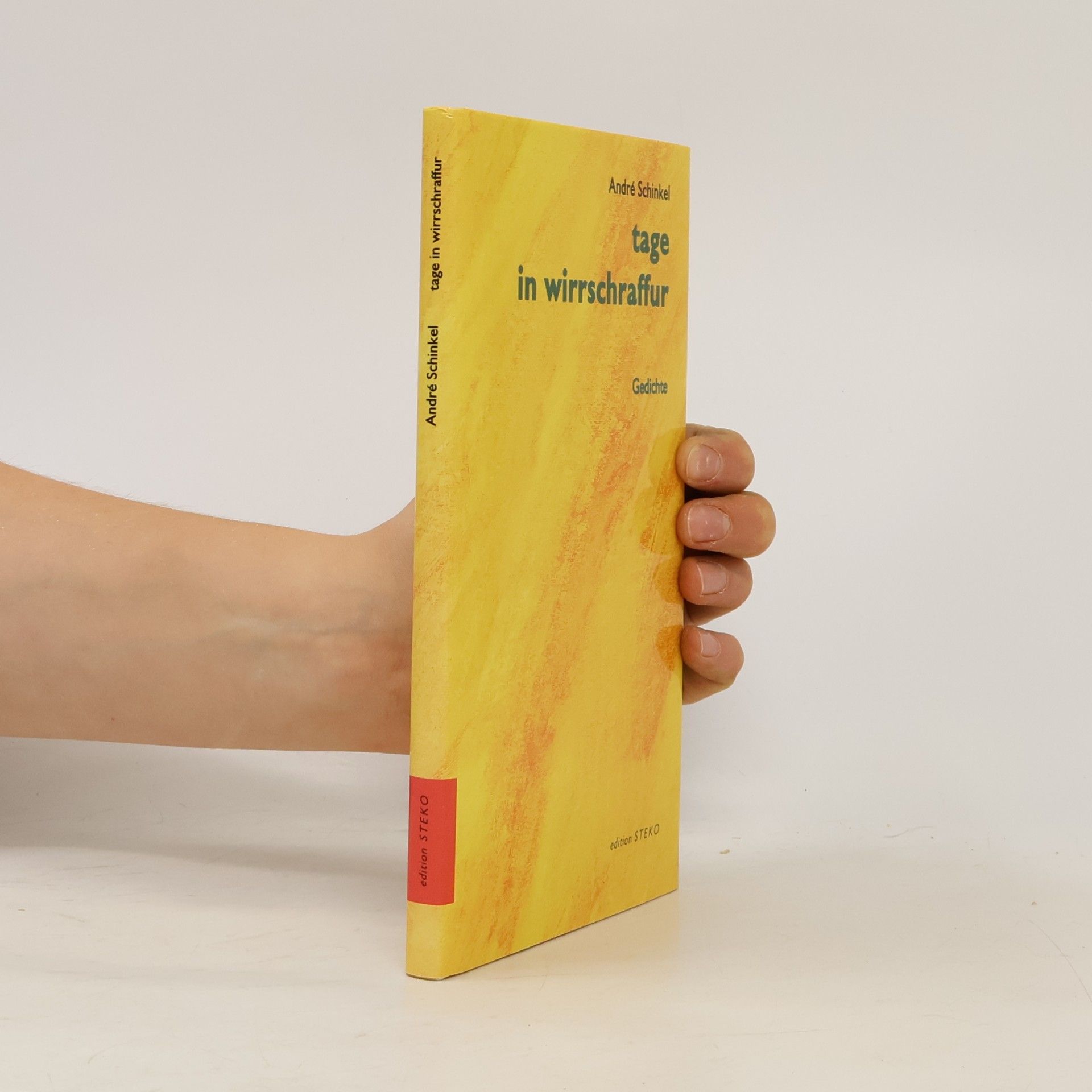 Edition STEKO - Literarische Reihe: Tage in Wirrschraffur