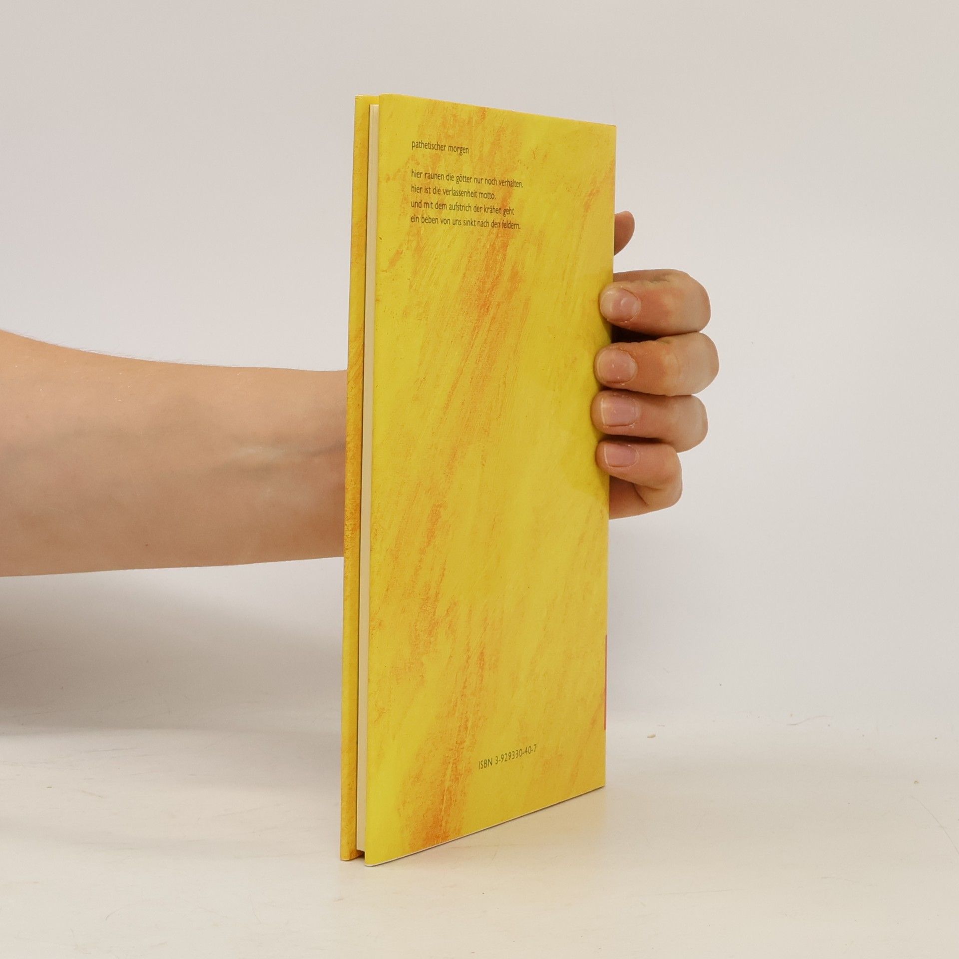 André Schinkel Edition STEKO - Literarische Reihe: Tage in Wirrschraffur