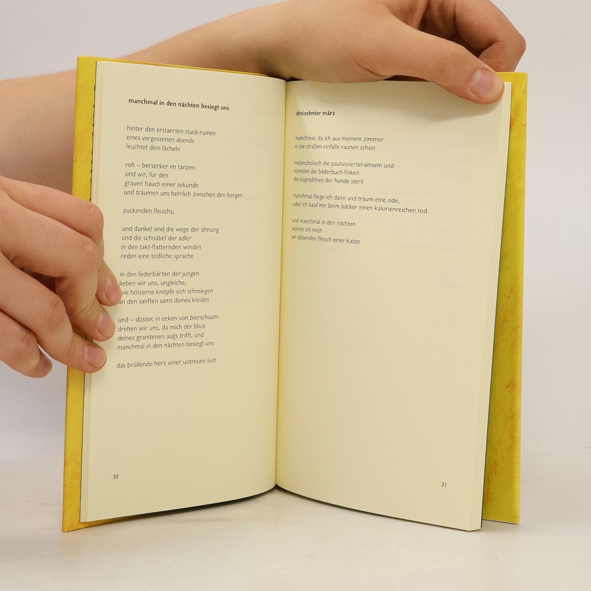 André Schinkel Edition STEKO - Literarische Reihe: Tage in Wirrschraffur