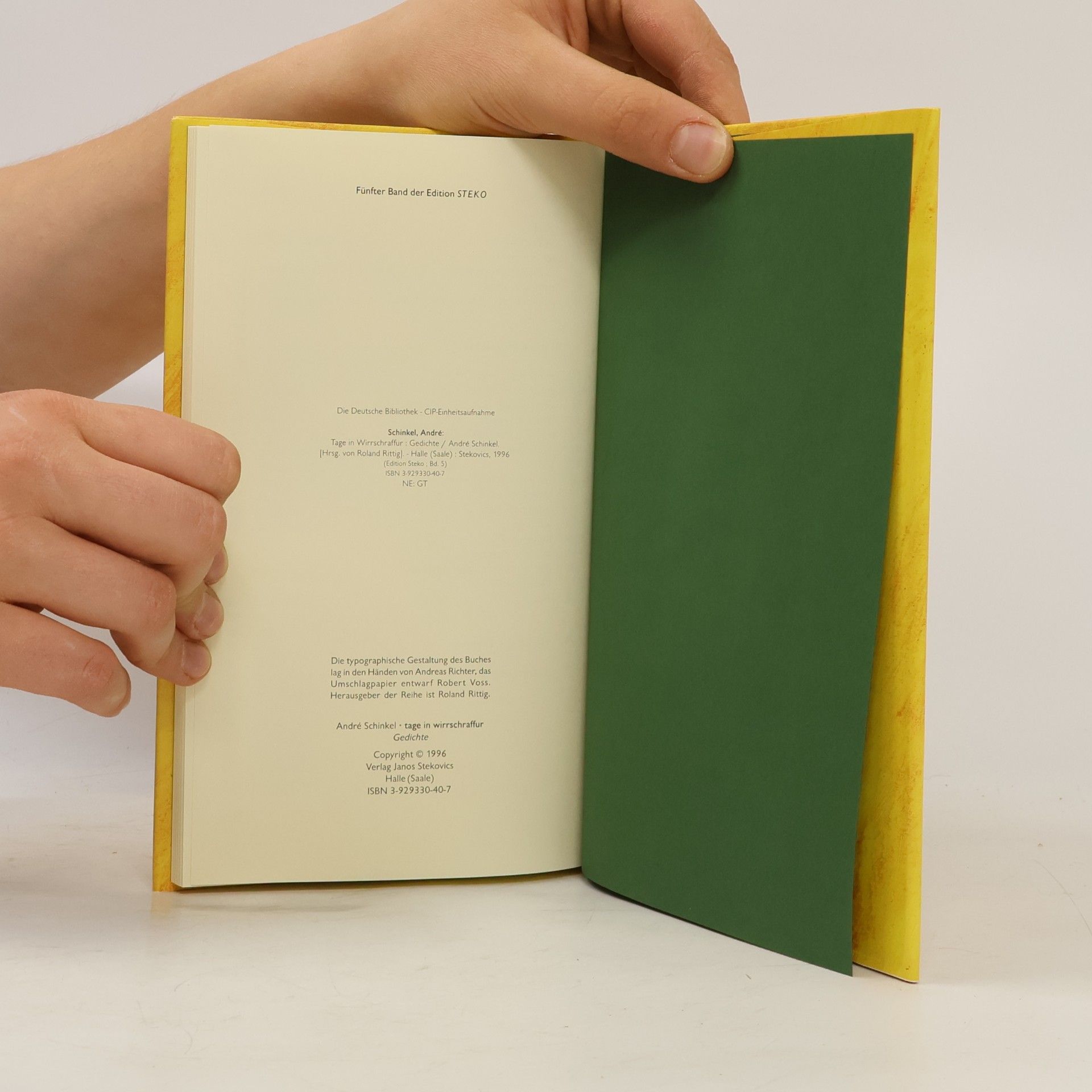 André Schinkel Edition STEKO - Literarische Reihe: Tage in Wirrschraffur