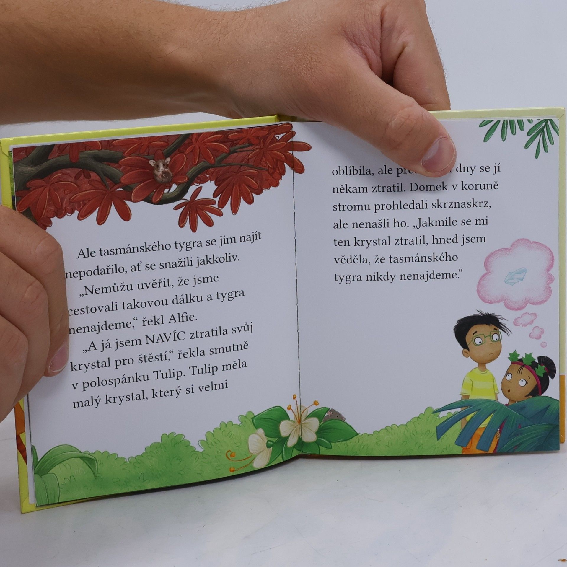 Cressida Cowell Stromovic dvojčata a jejich dobrodružství v divočině. Dvojčata na stopě tygrovi