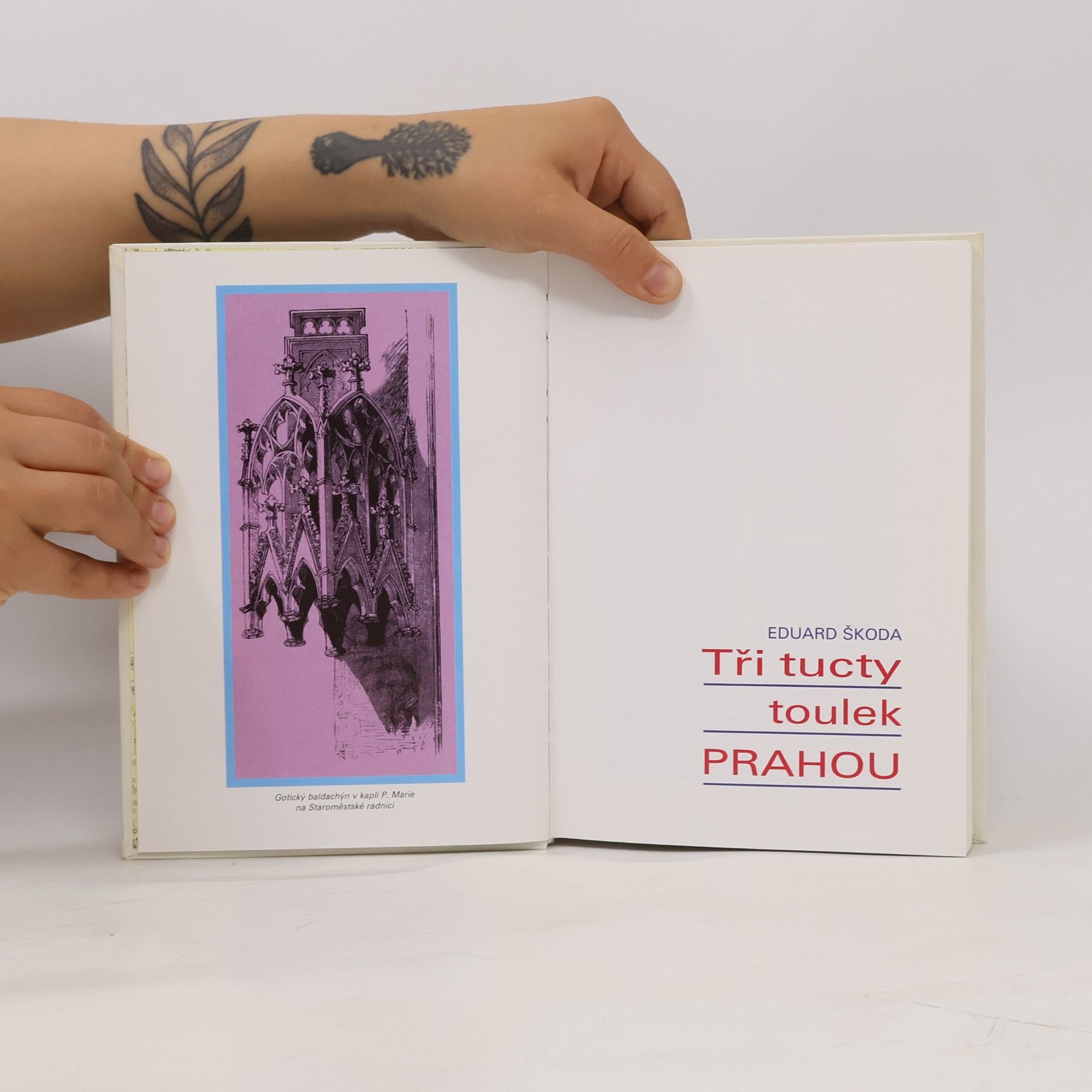 Eduard Škoda Tři tucty toulek Prahou. Za historií, památkami a kuriozitami Prahy