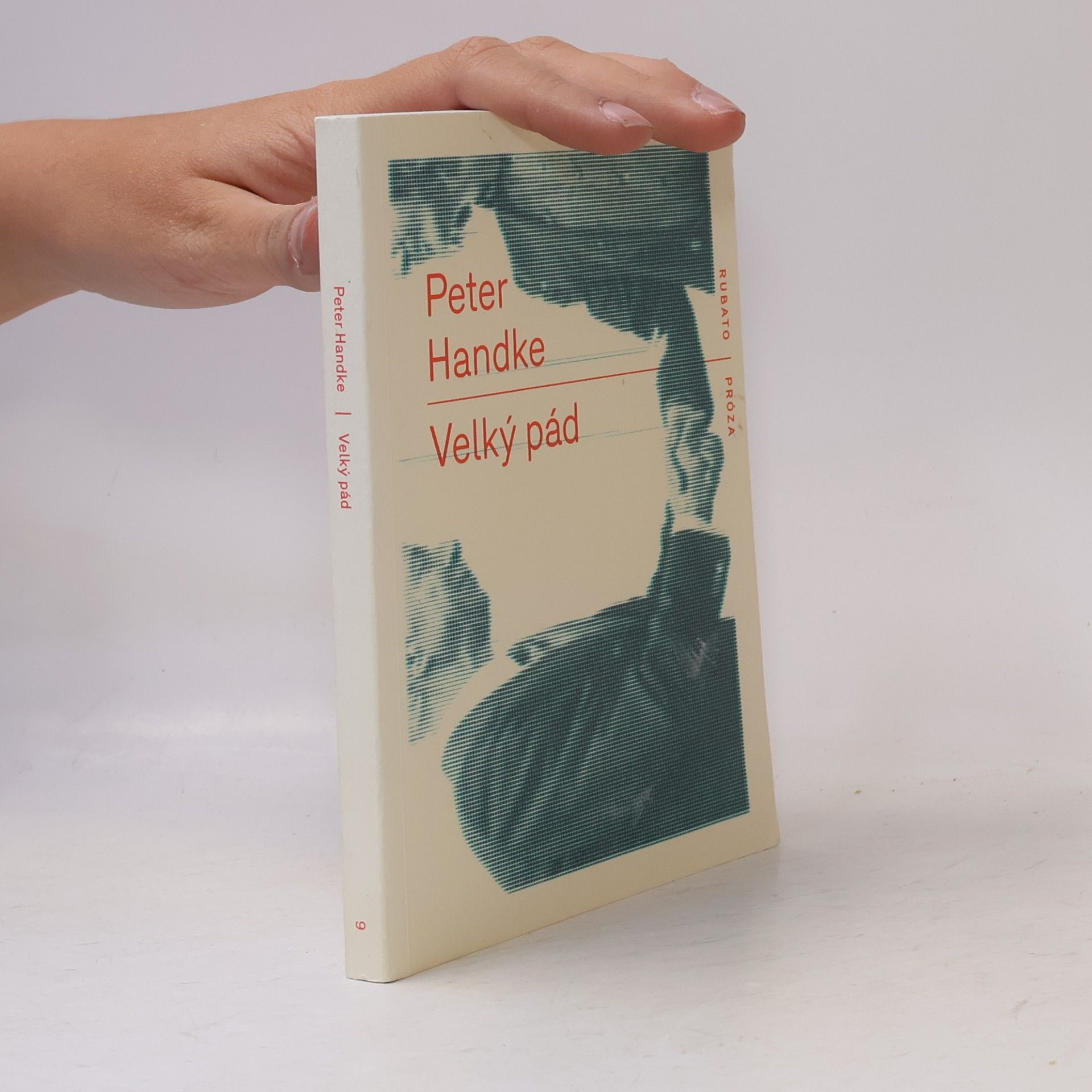 Peter Handke Velký pád