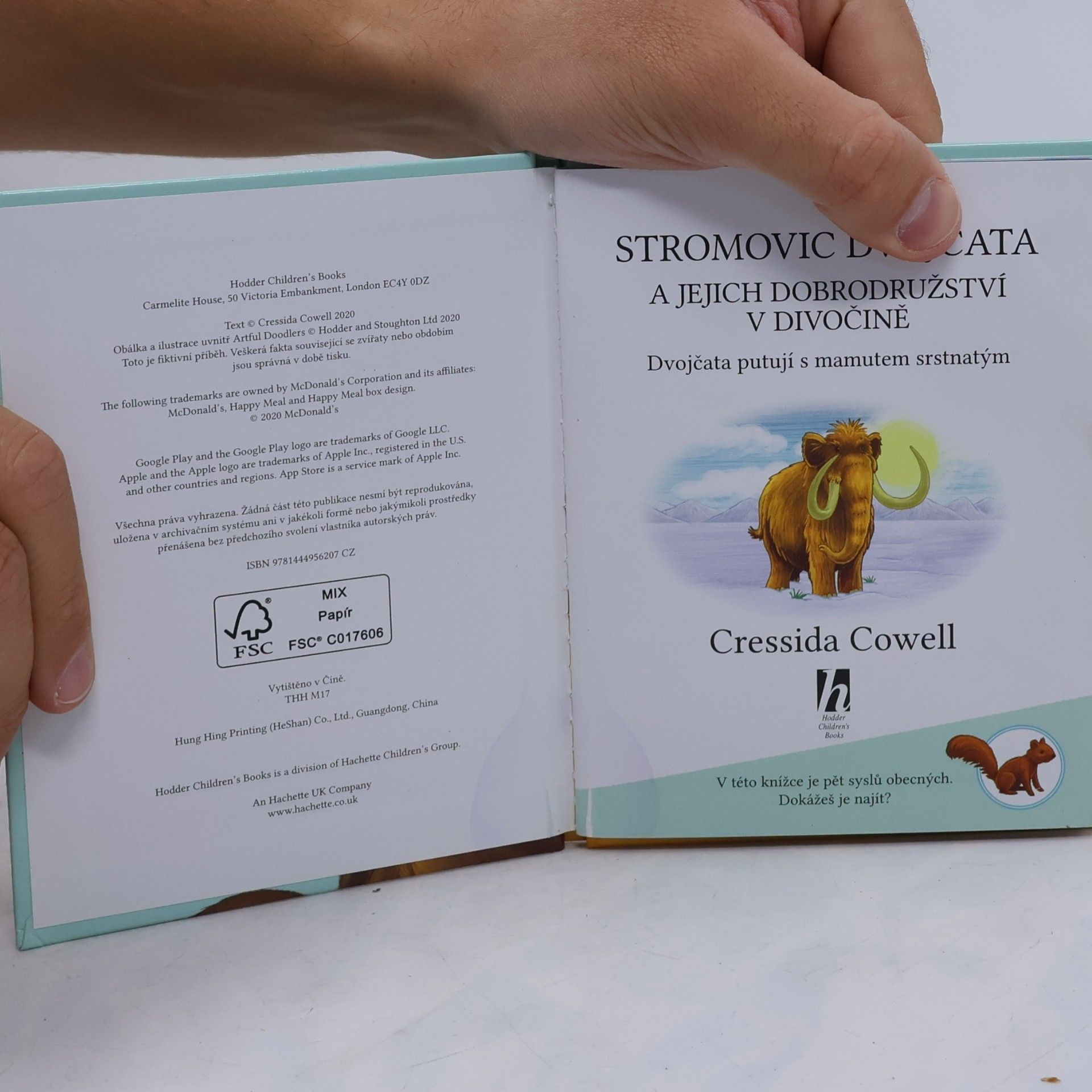 Cressida Cowell Stromovic dvojčata a jejich dobrodružství v divočině. Dvojčata putují s mamutem srstnatým