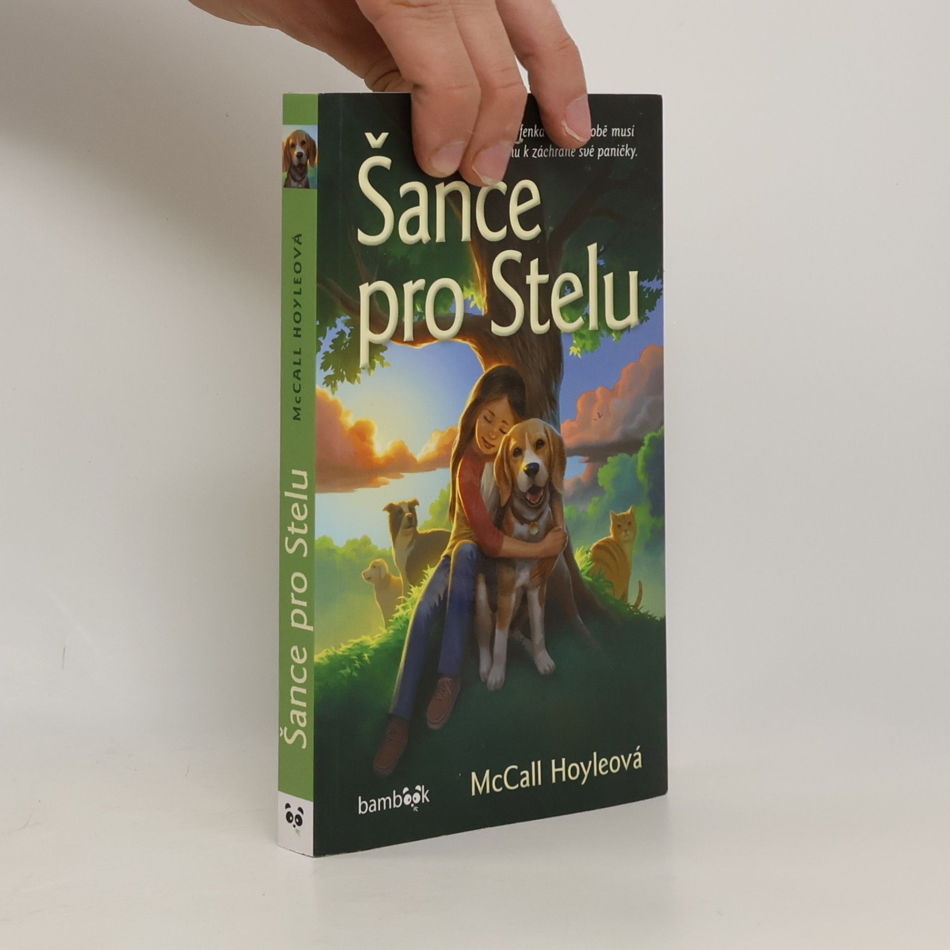 McCall Hoyle Šance pro Stelu