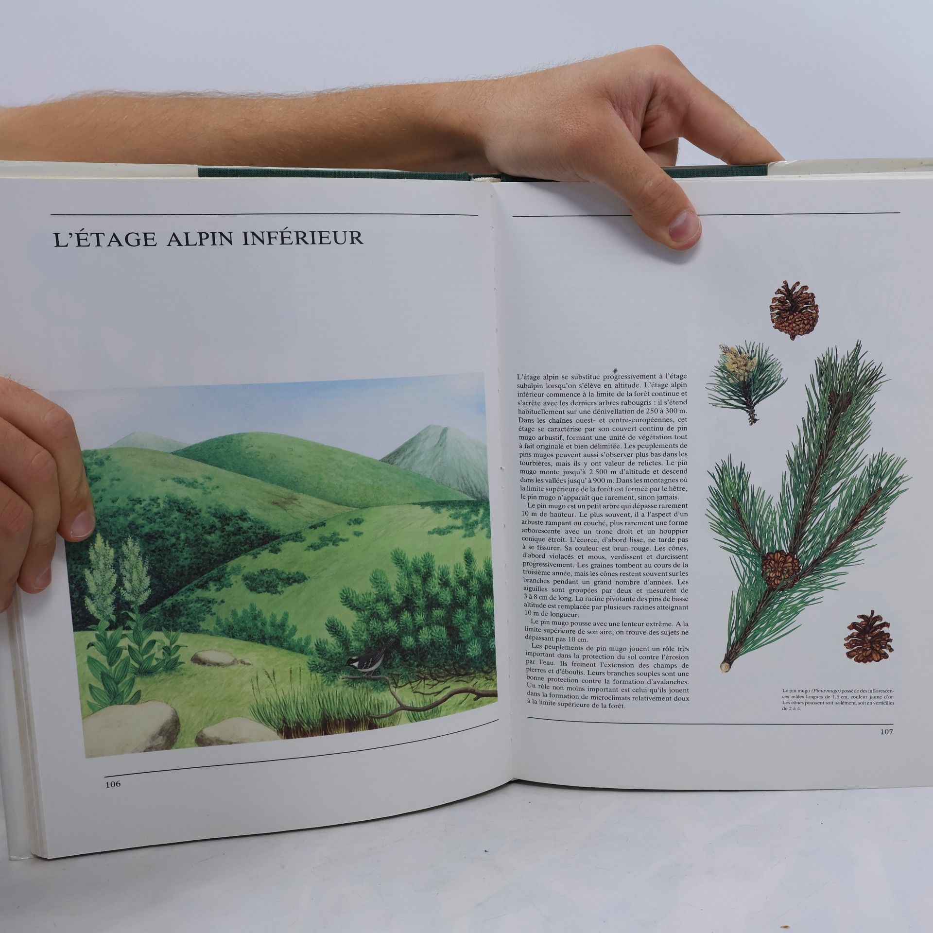 Karel Šťastný La vie dans la montagne