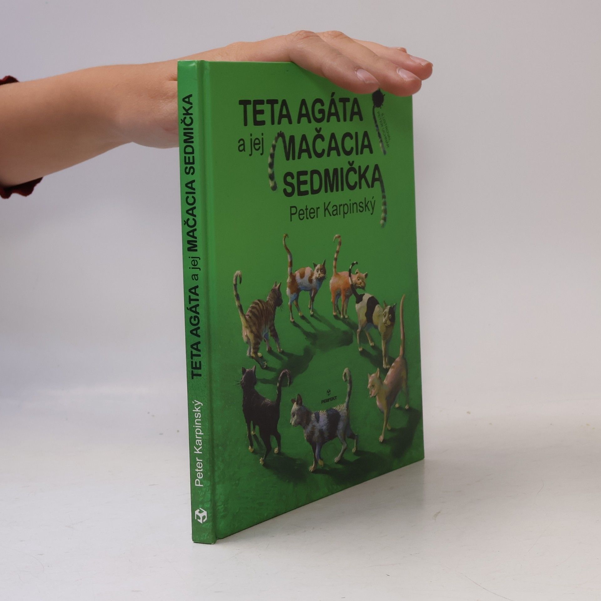 Peter Karpinský Teta Agáta a jej mačacia sedmička