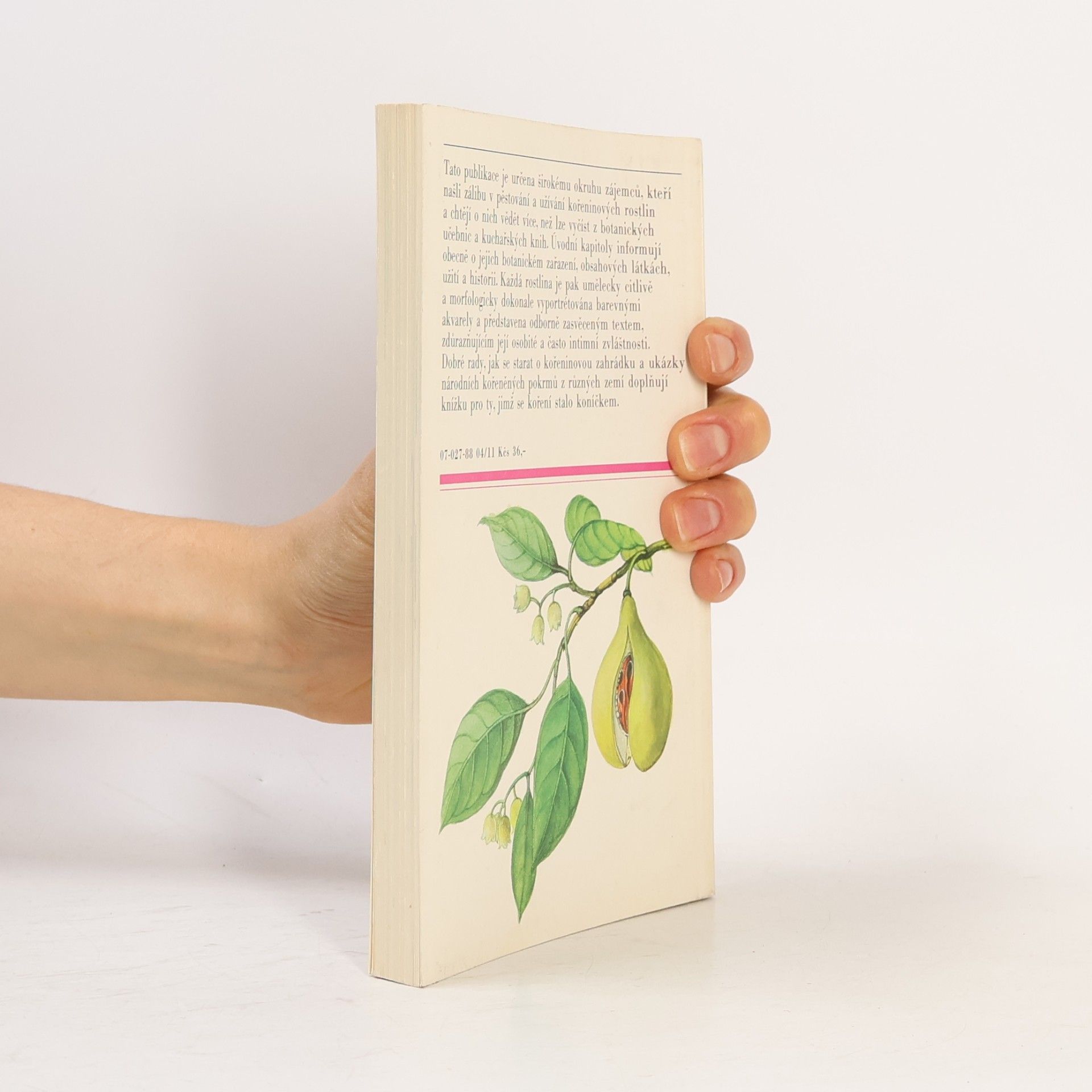 Jiřina Kaplická Naše a cizí koření