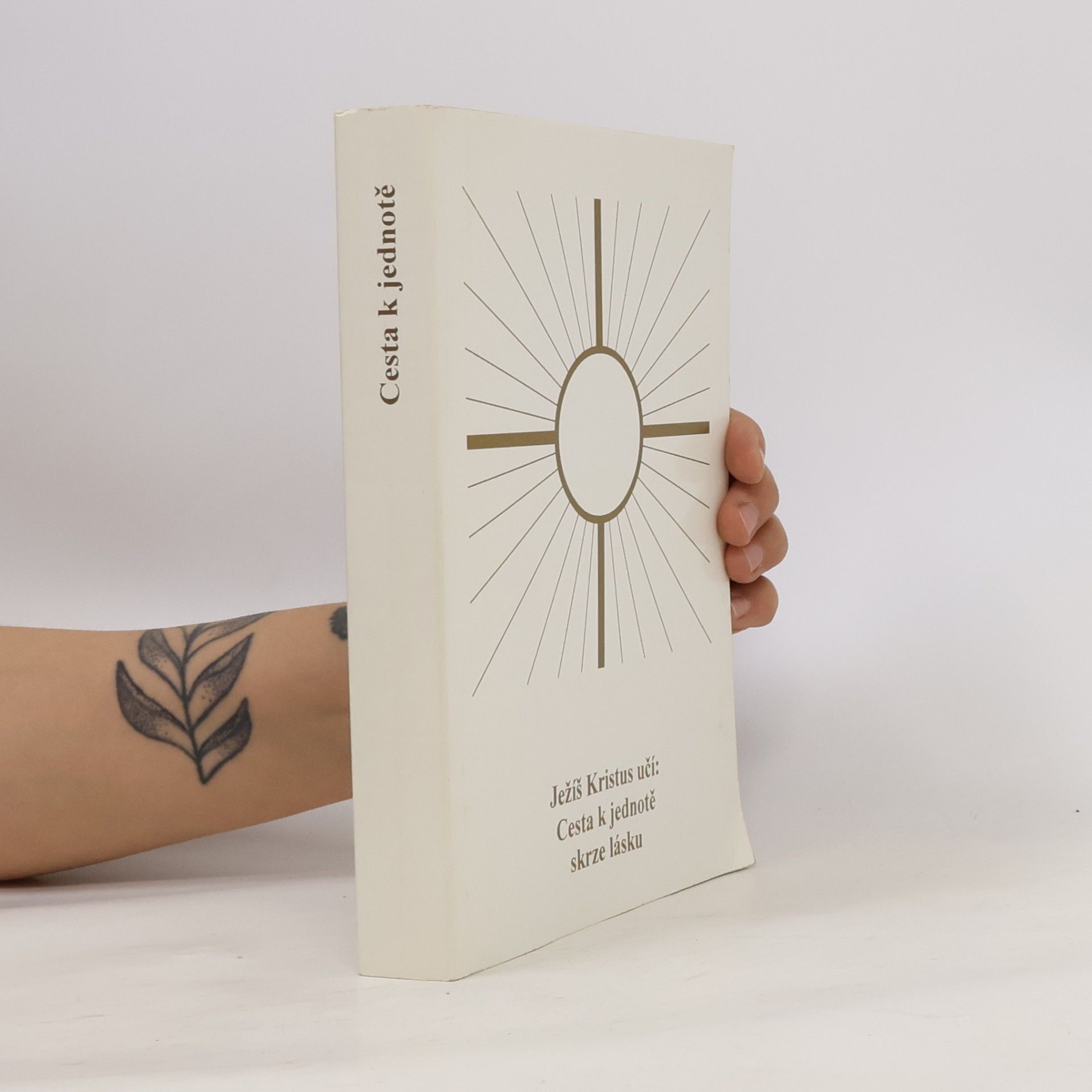 Various authors Ježíš Kristus učí: Cesta k jednotě skrze lásku