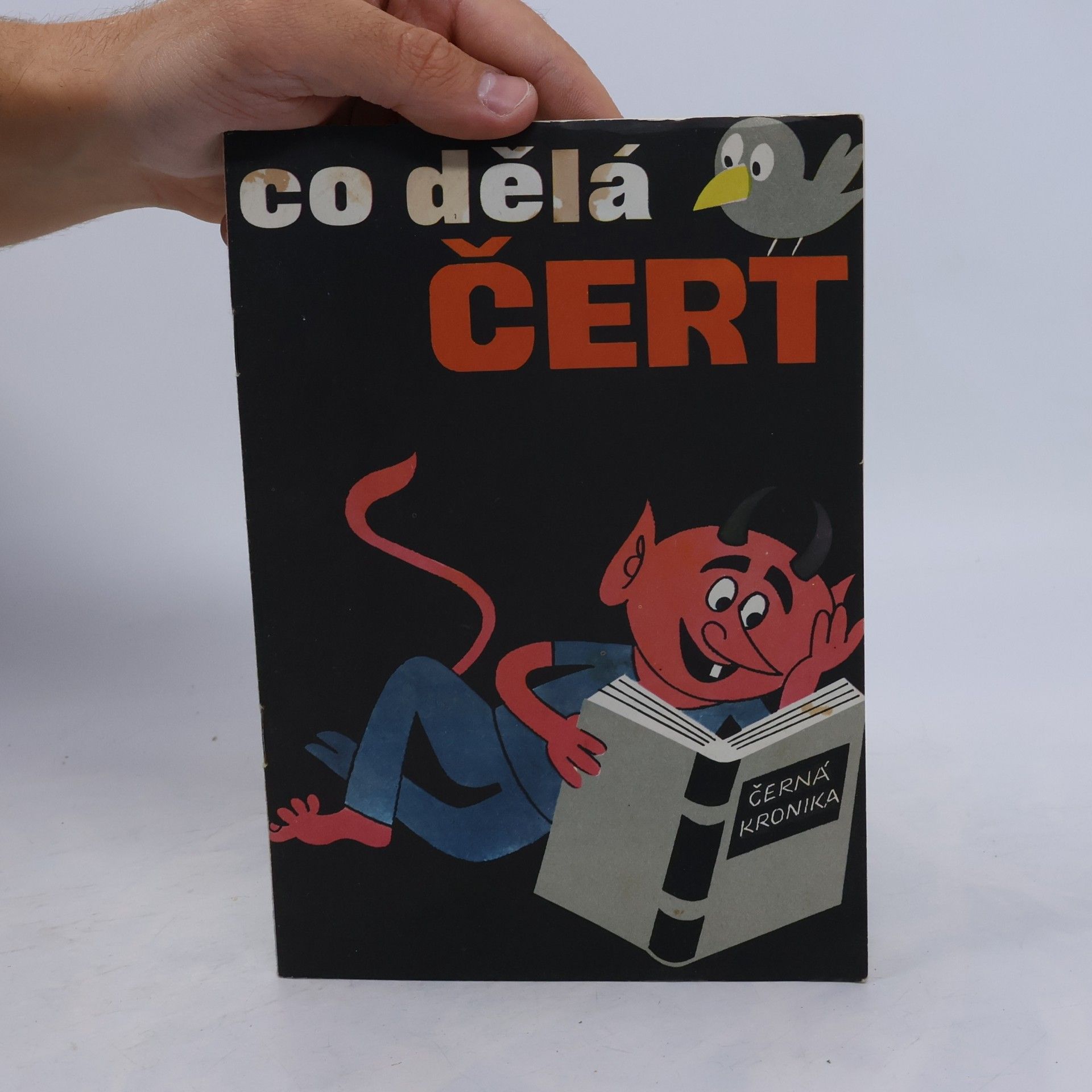 Kolektiv autorů Co dělá čert