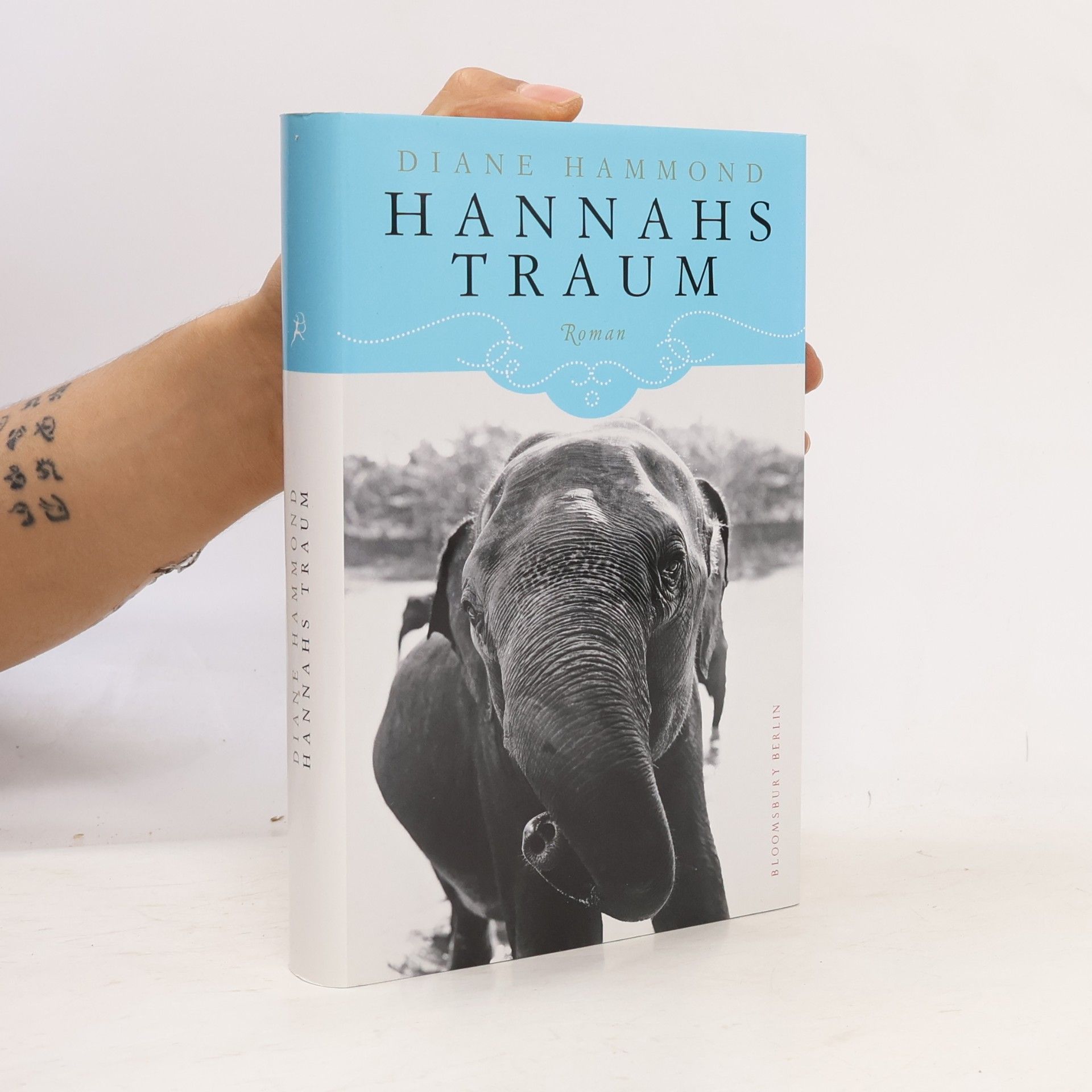 Diane Hammond Hannahs Traum