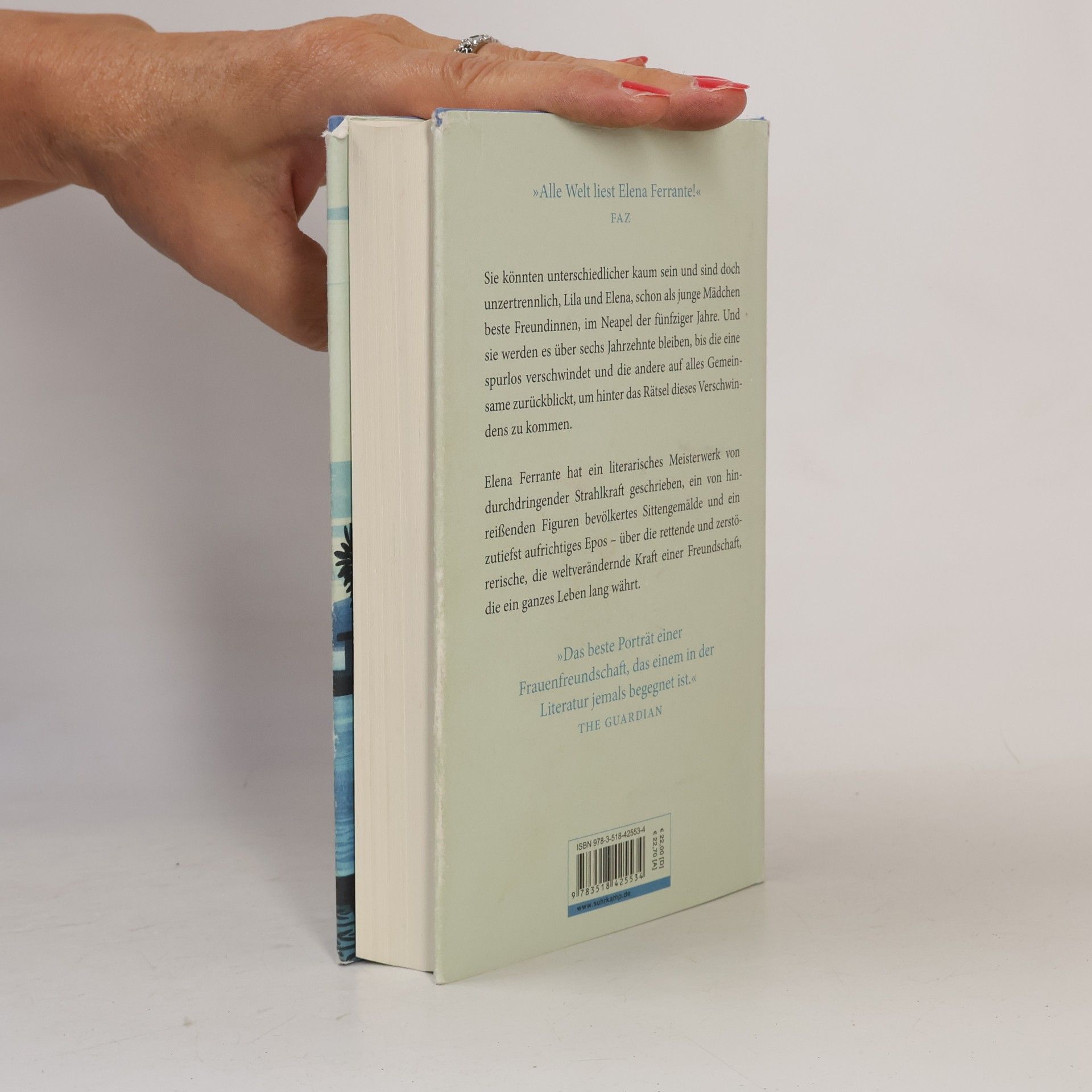 Elena Ferrante Meine geniale Freundin