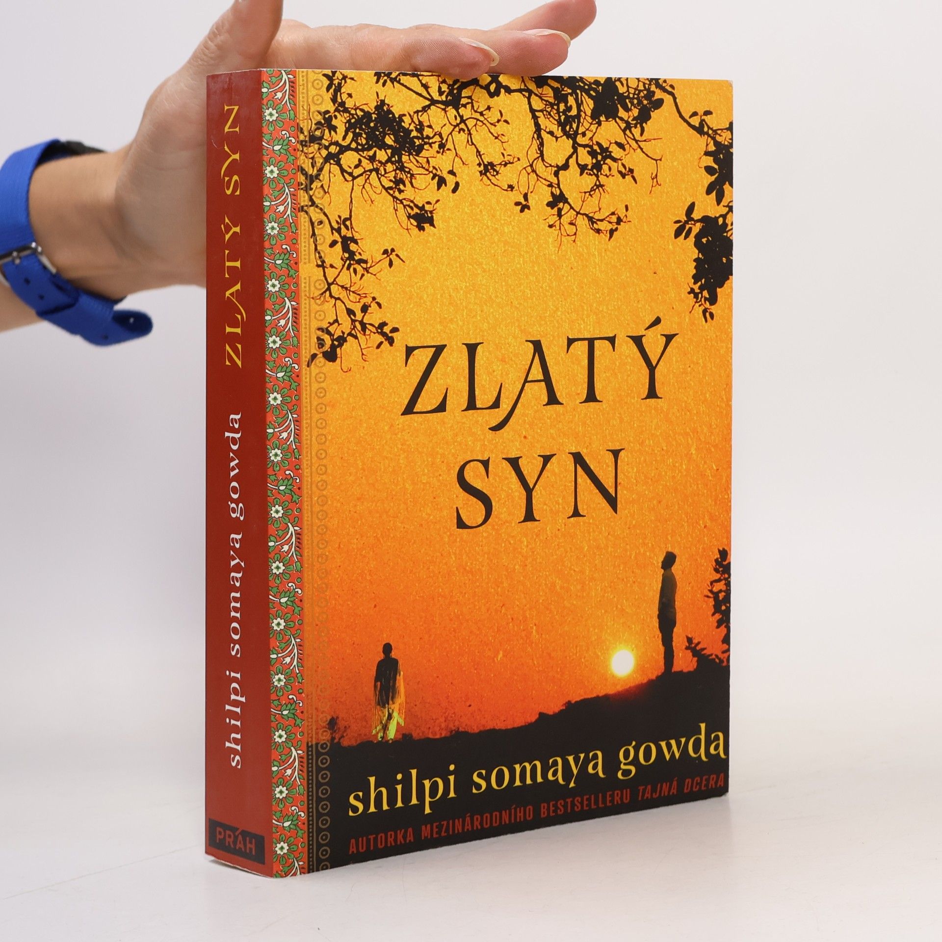 Shilpi Somaya Gowda Zlatý syn