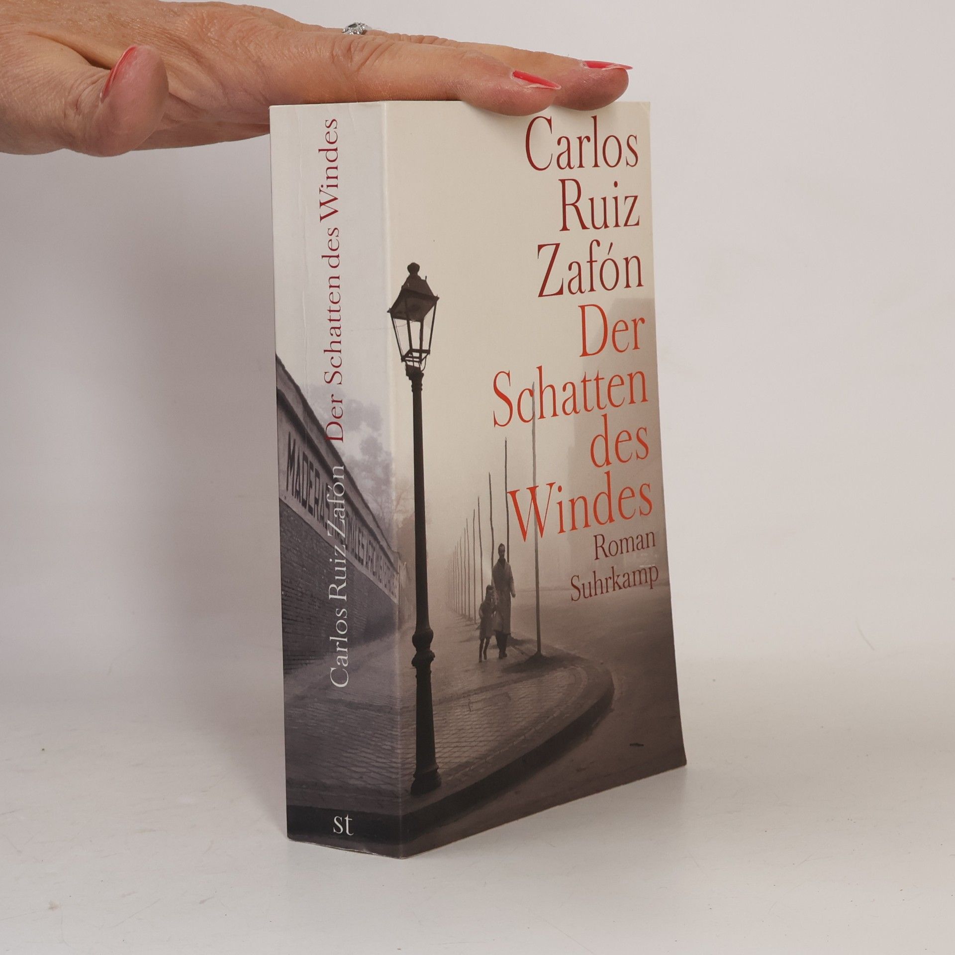Der Schatten des Windes