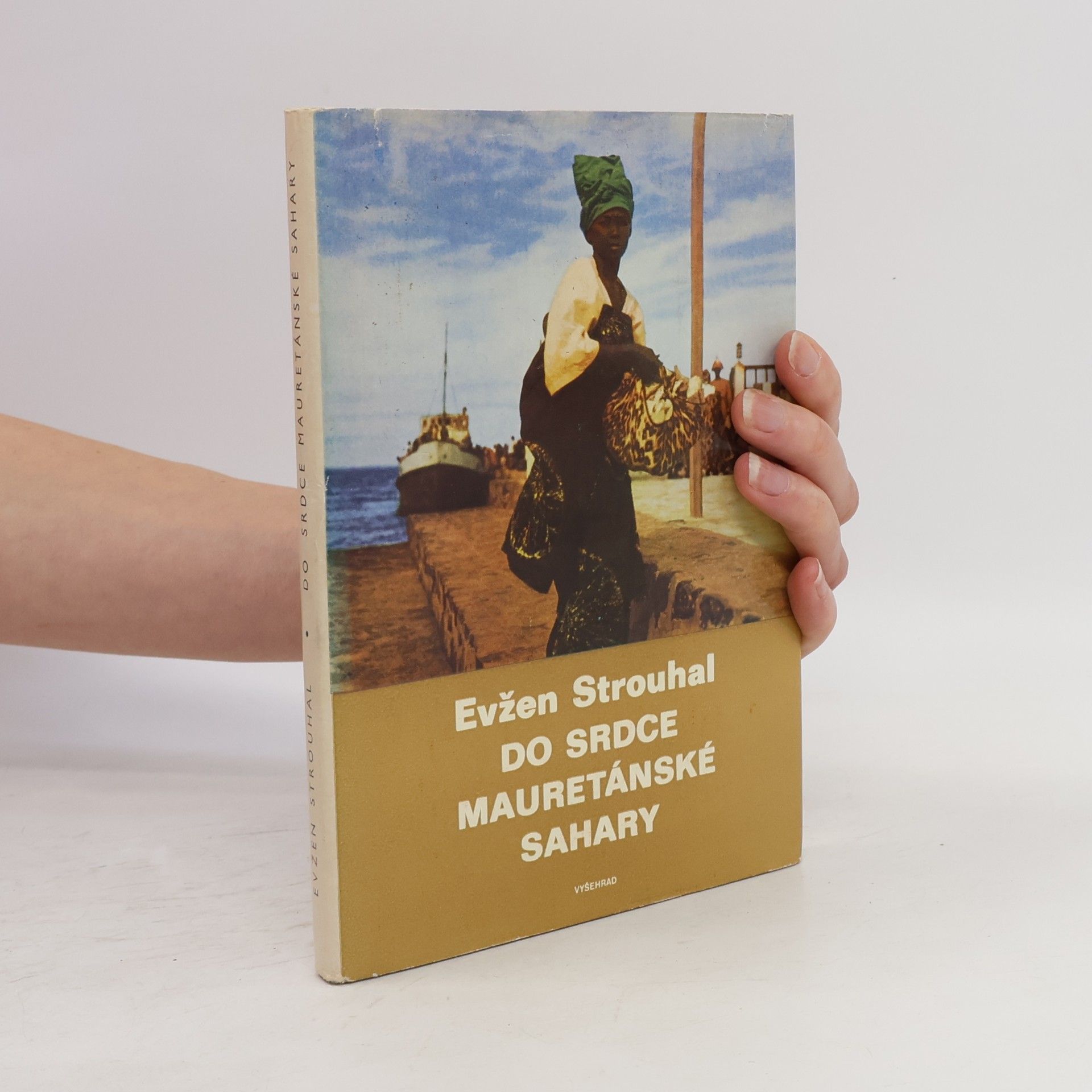 Do srdce mauretánské Sahary